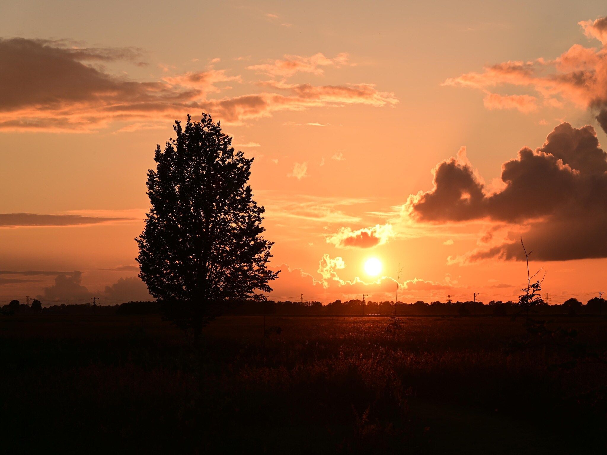 Tentlodge Partijs Wellness met sauna en prive-bad-2p in Dalerveen - Foto 30 van 33