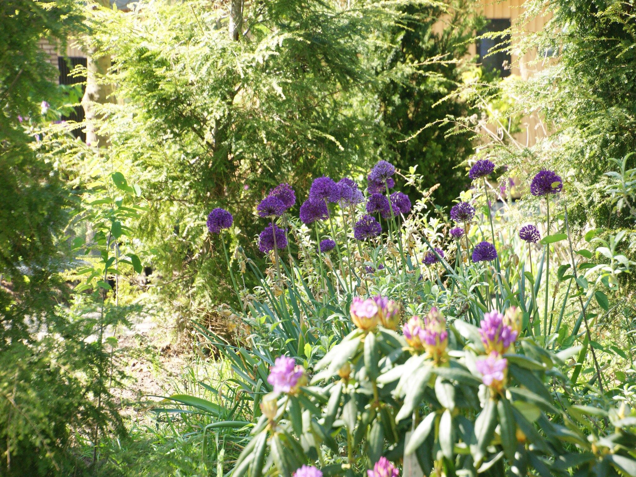 Tentlodge Partijs Wellness met sauna en prive-bad-2p in Dalerveen - Foto 32 van 33