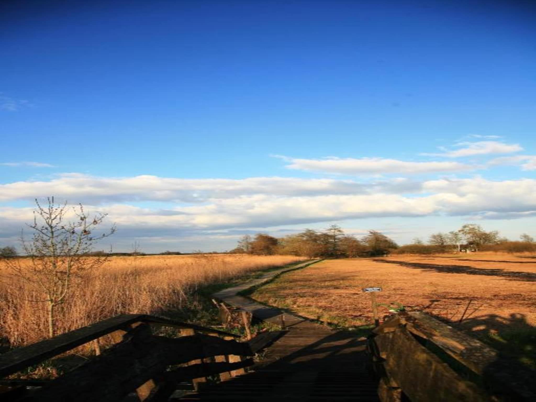 Chalet Resort Venetie Giethoorn in Giethoorn - Foto 32 van 40