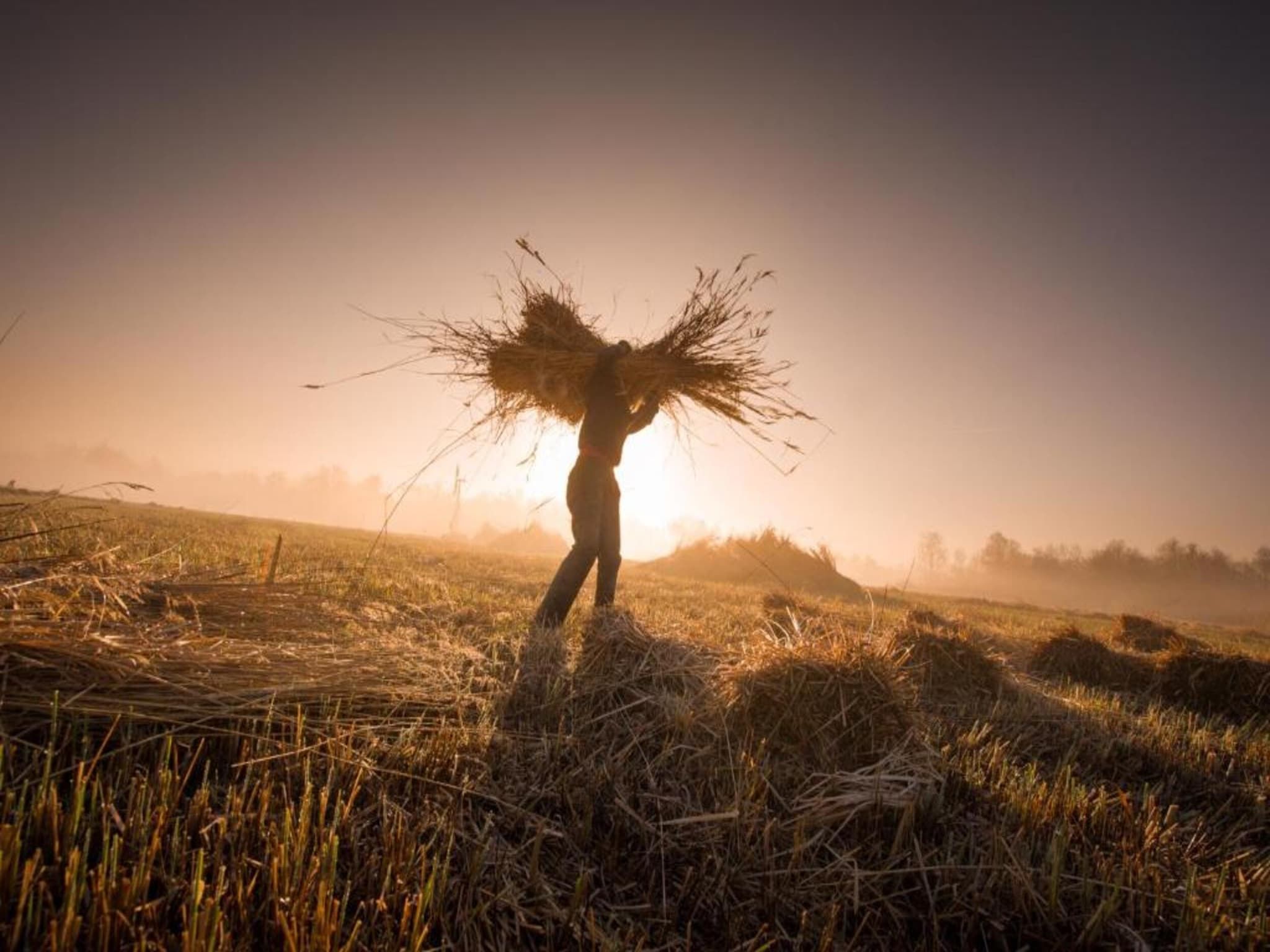 Chalet Resort Venetie Giethoorn in Giethoorn - Foto 25 van 40