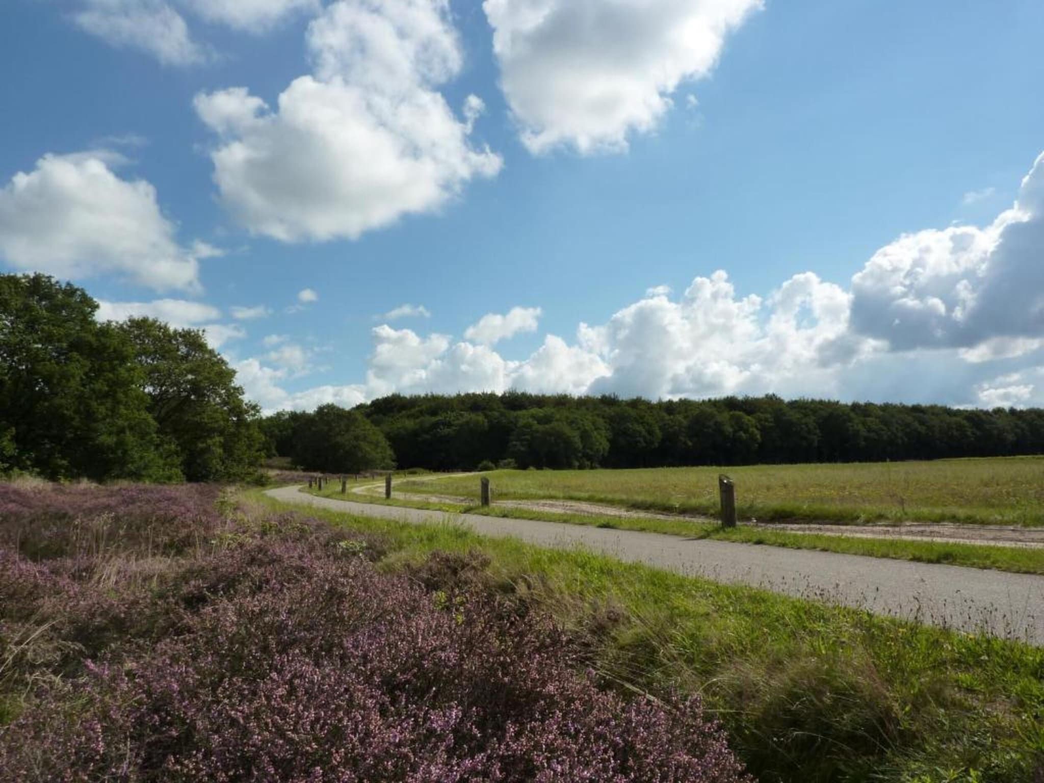 Glamping Resort Lauwersmeer 1 in Vierhuizen - Foto 24 van 34