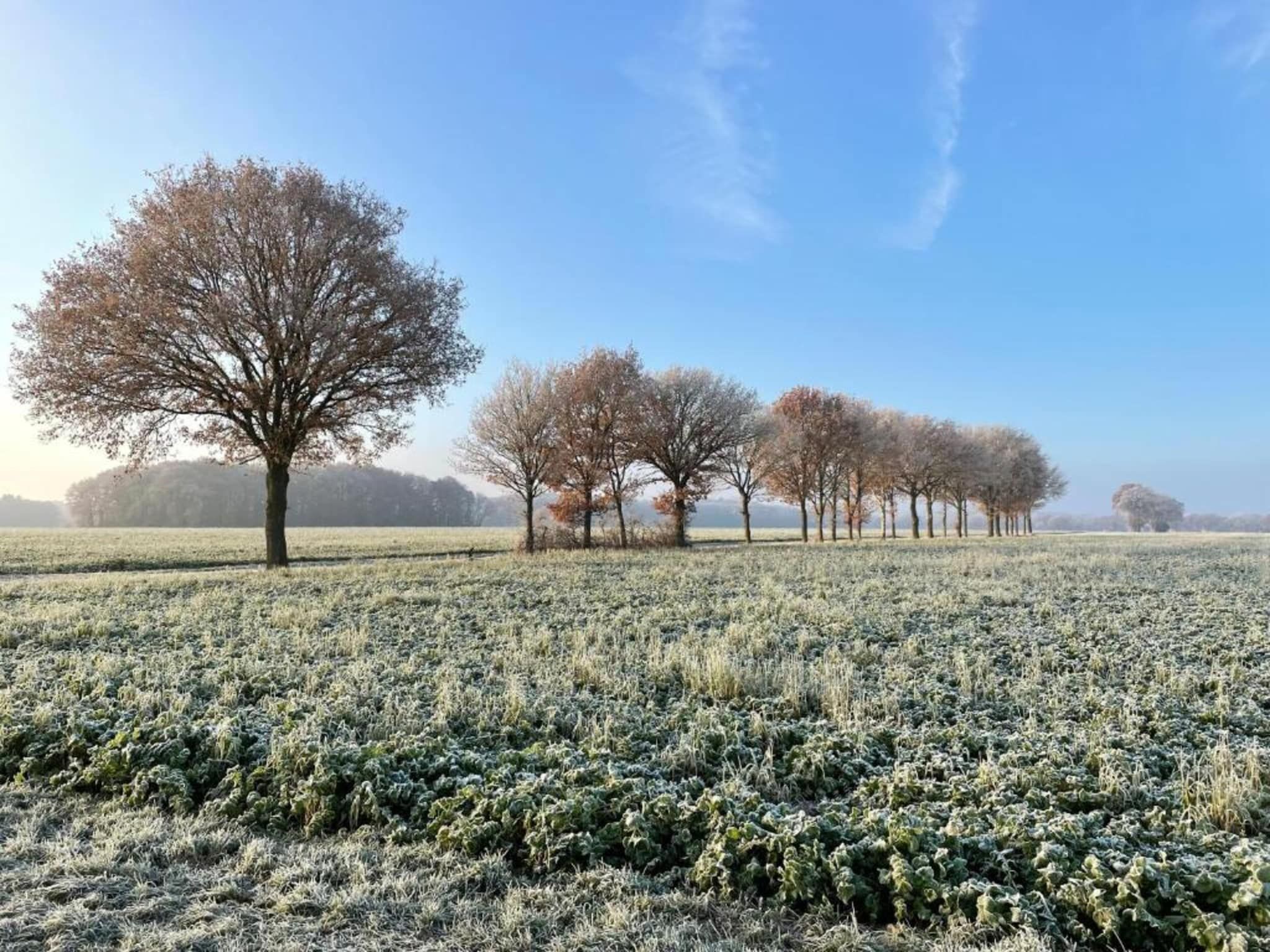 Glamping Resort Lauwersmeer 1 in Vierhuizen - Foto 22 van 34