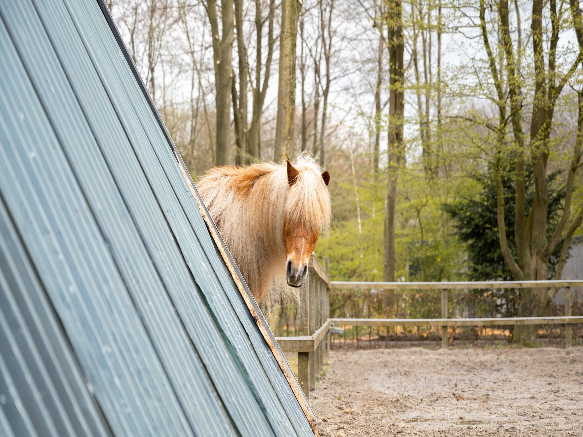 Parkfaciliteiten bij Resort de Parel 5 in Zeewolde