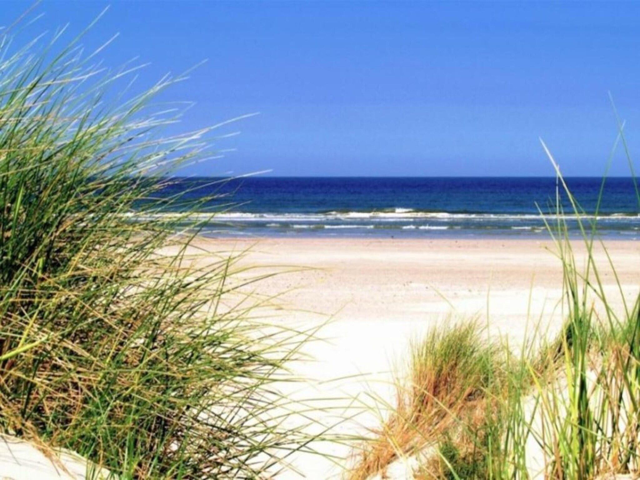 De omgeving van Resort de Parel 5 in Zeewolde