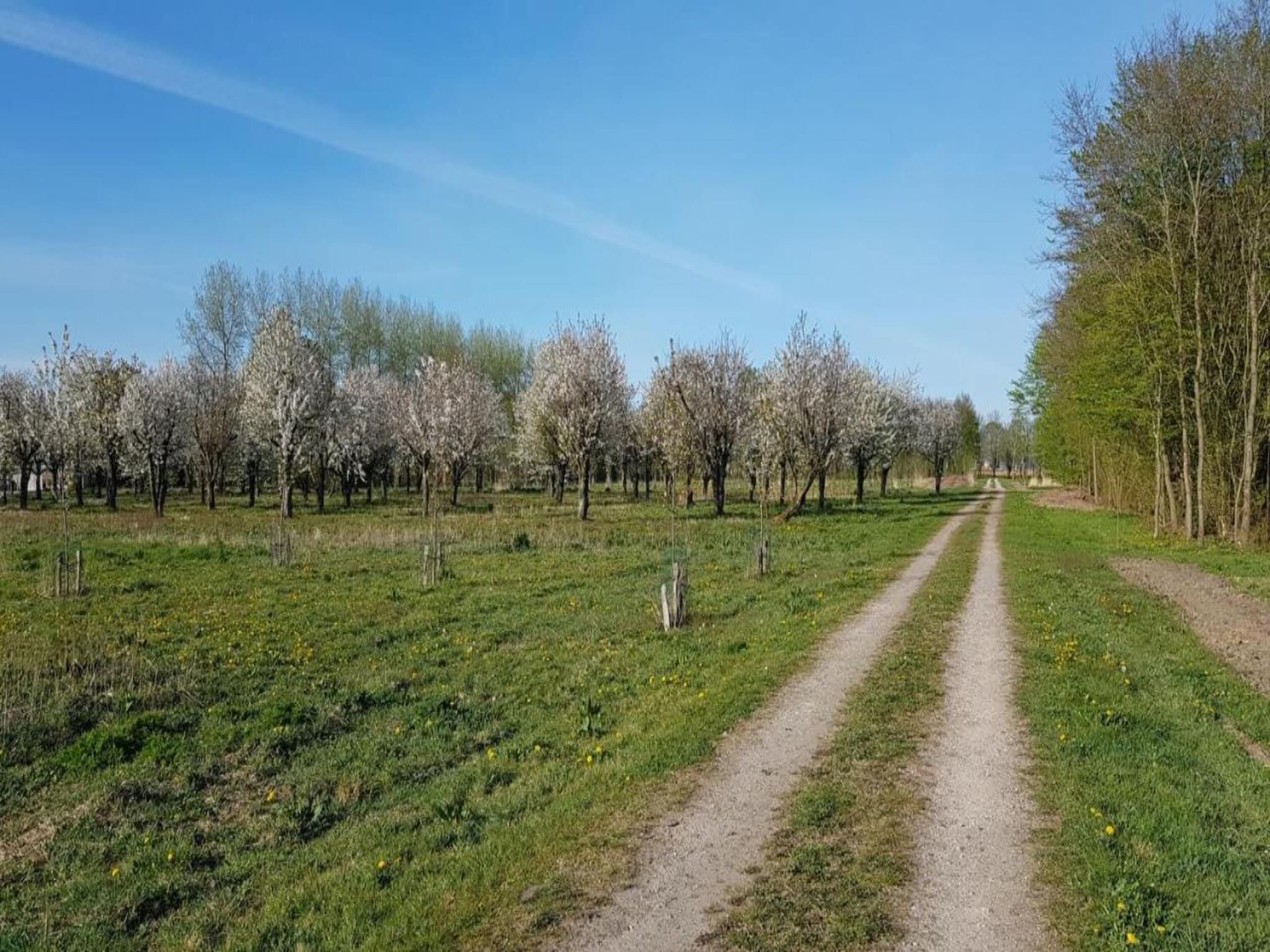 Resort de Parel 14 in Zeewolde - Foto 29 van 40