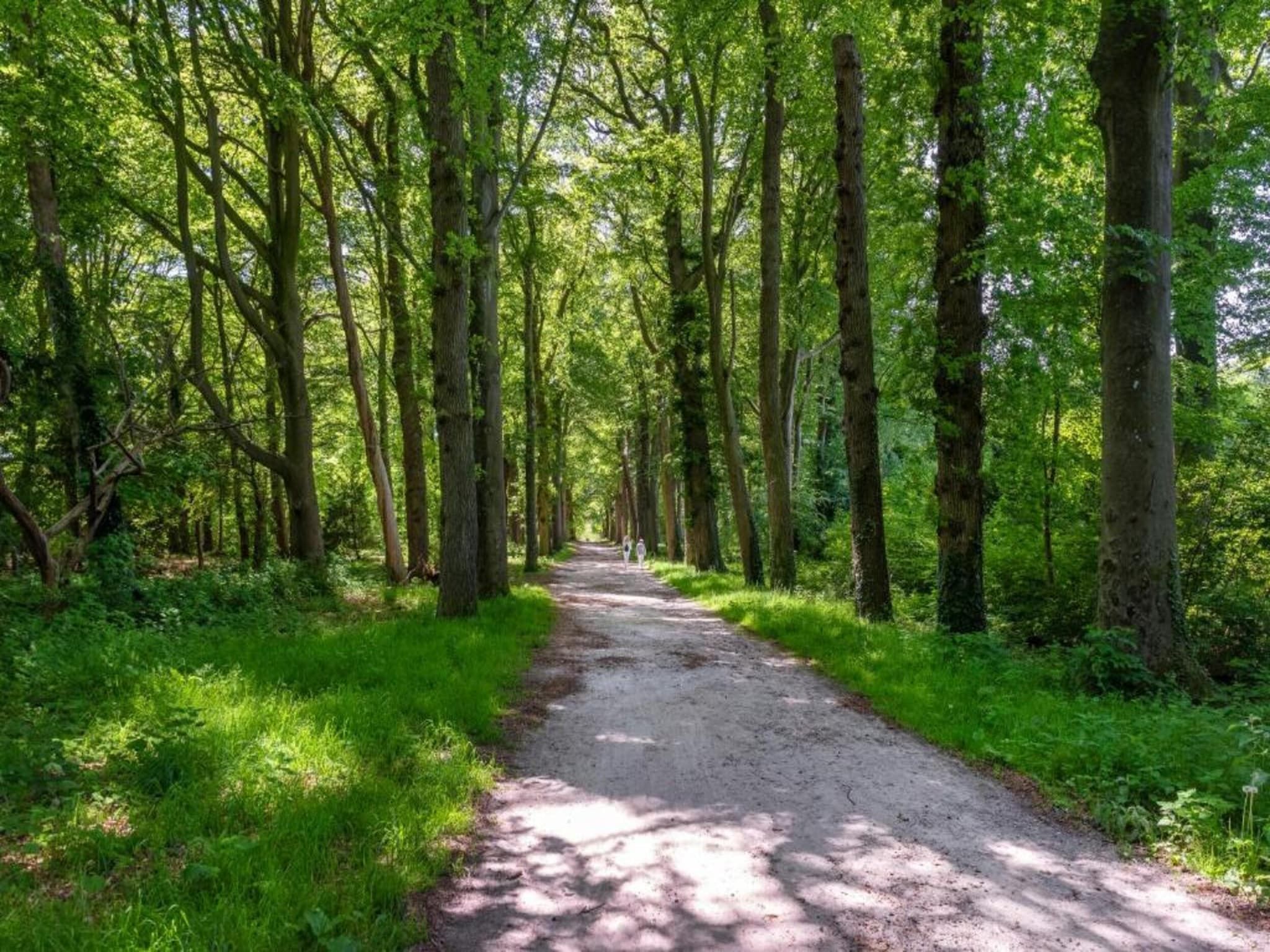 Resort de Parel 15 in Zeewolde - Foto 30 van 40