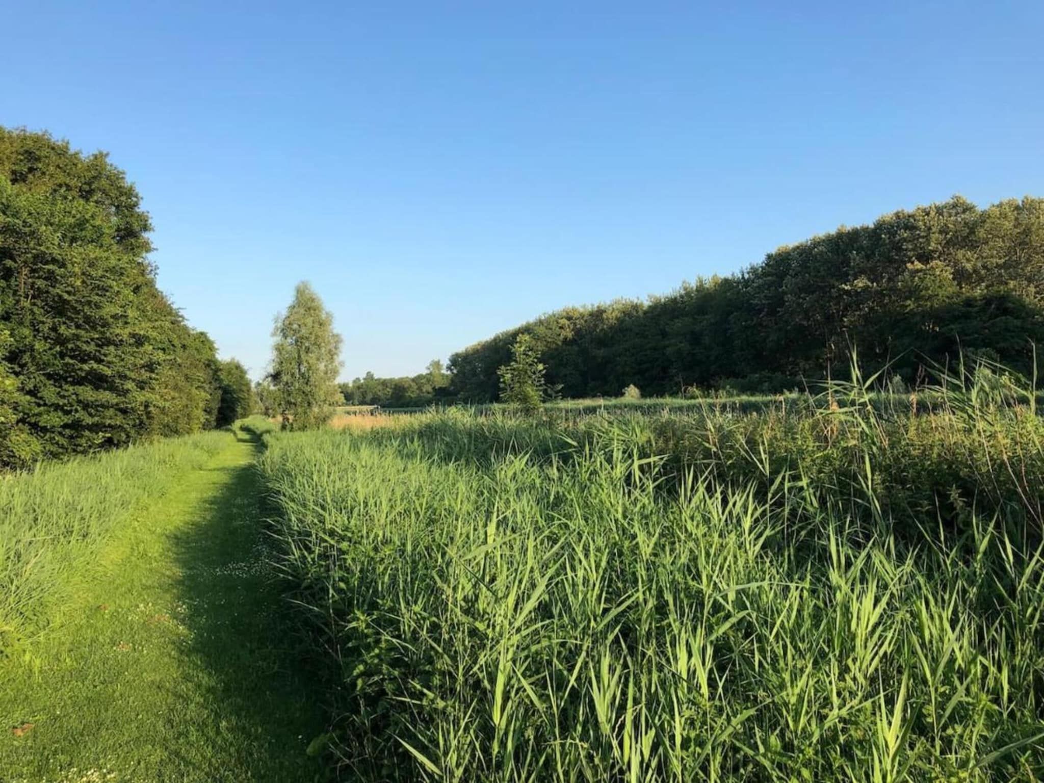 Resort de Parel 15 in Zeewolde - Foto 33 van 40