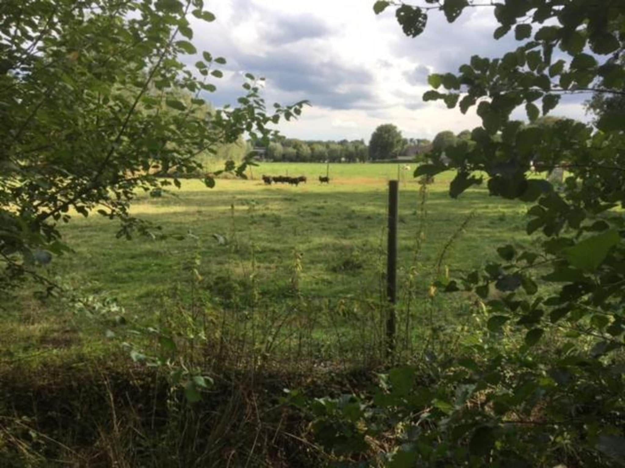 Vakantiepark Sandberghe 13 in Uden - Foto 30 van 40