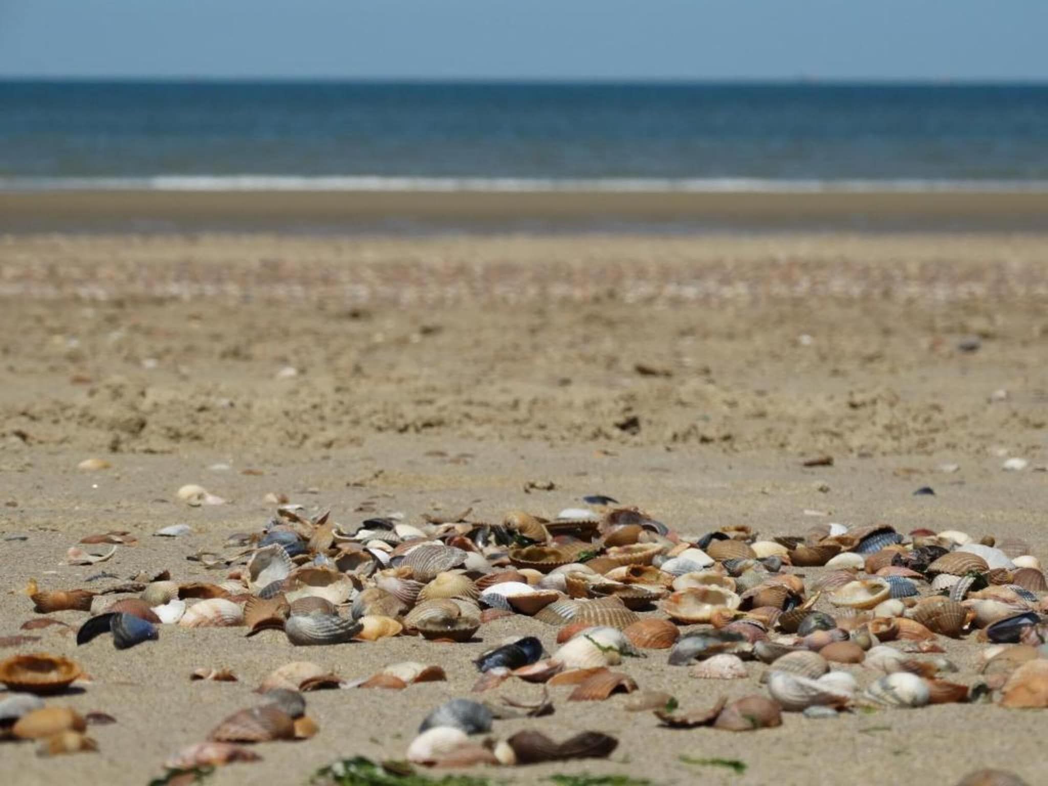 De omgeving van Bovenappartement - Zuidstraat 111a in Westkapelle