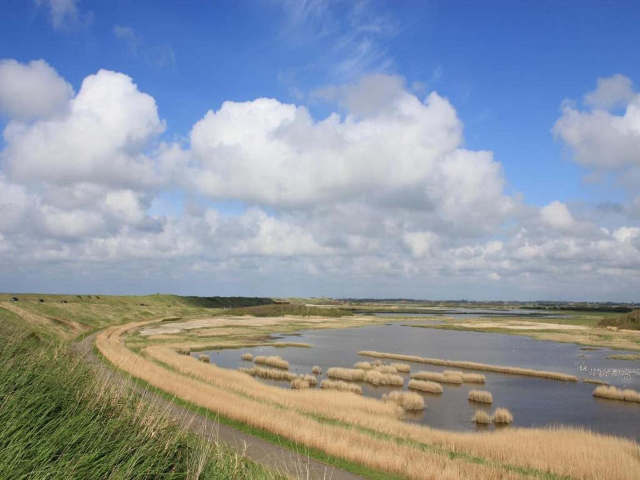 De omgeving van Studio - Zuidstraat 113 in Westkapelle