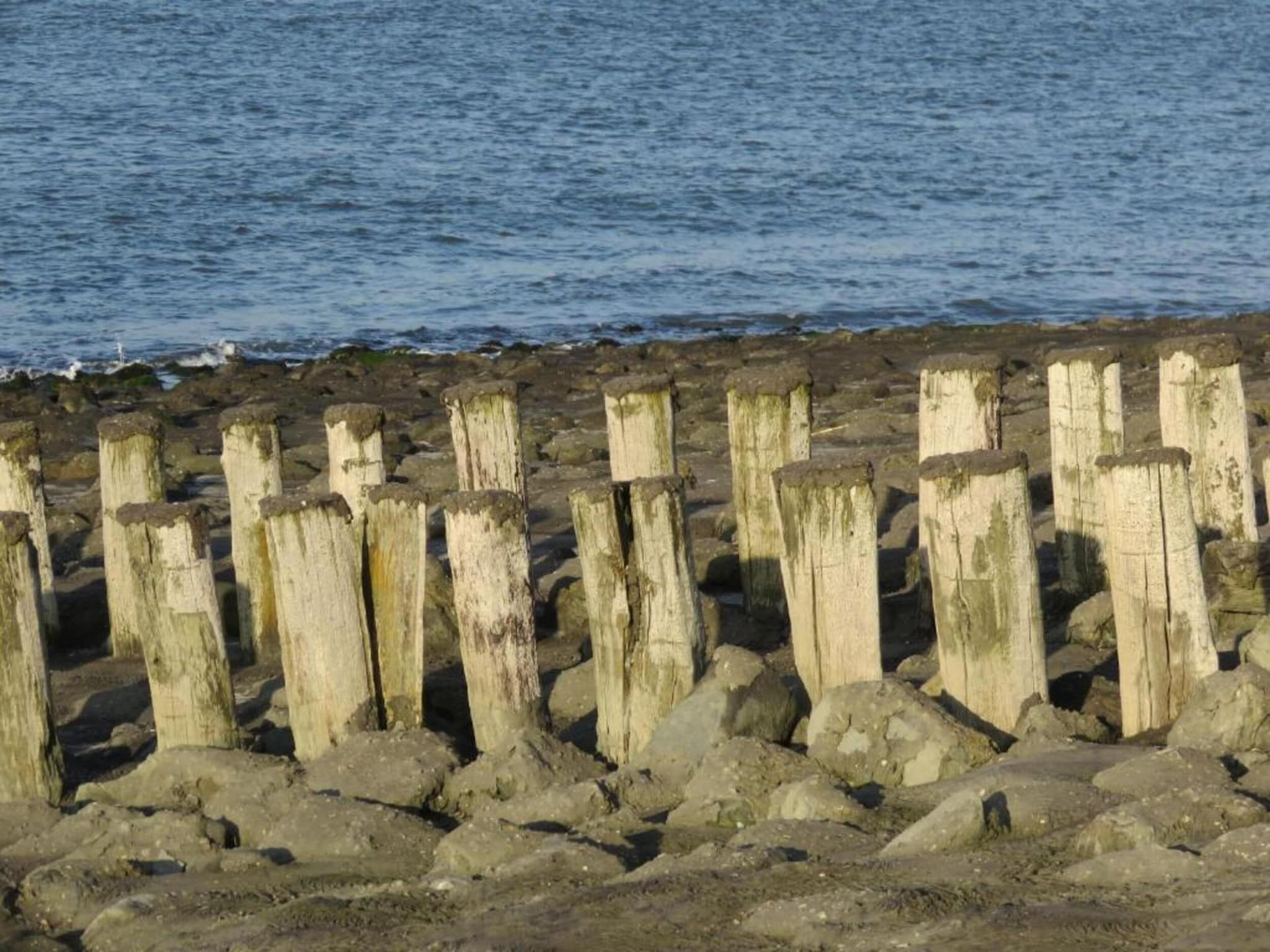 De omgeving van Studio - Zuidstraat 113 in Westkapelle