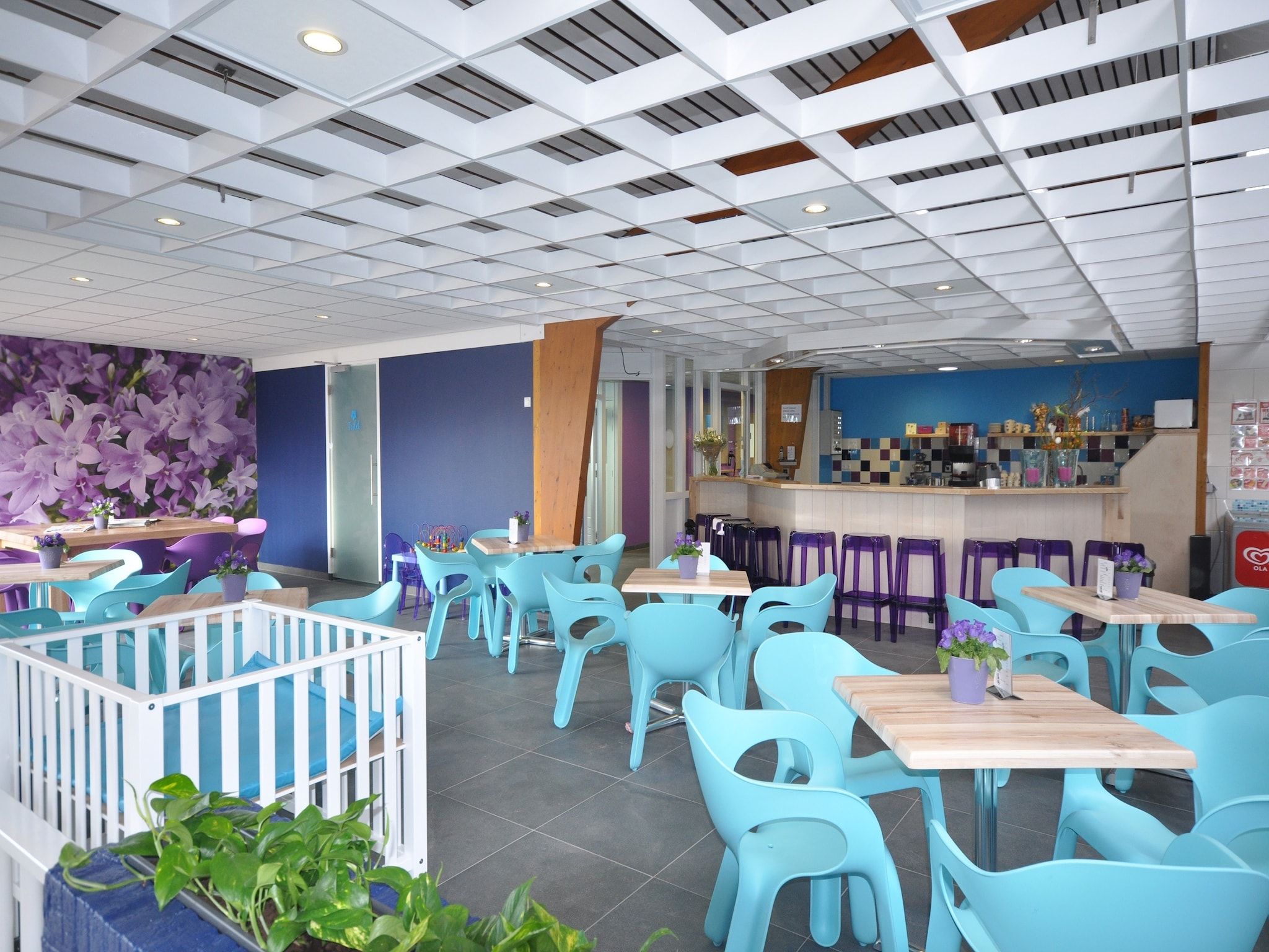 Parkfaciliteiten bij Bungalowpark Campanula 4 in St. Maartenszee