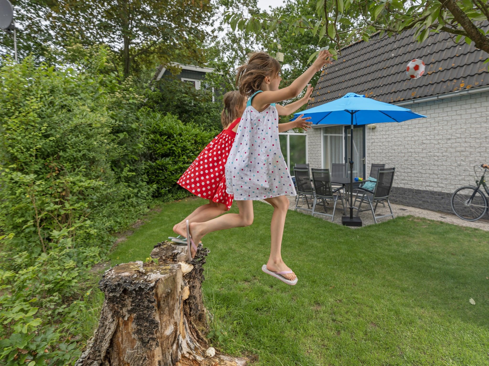 De tuin van Bungalowpark Campanula 5 in St. Maartenszee
