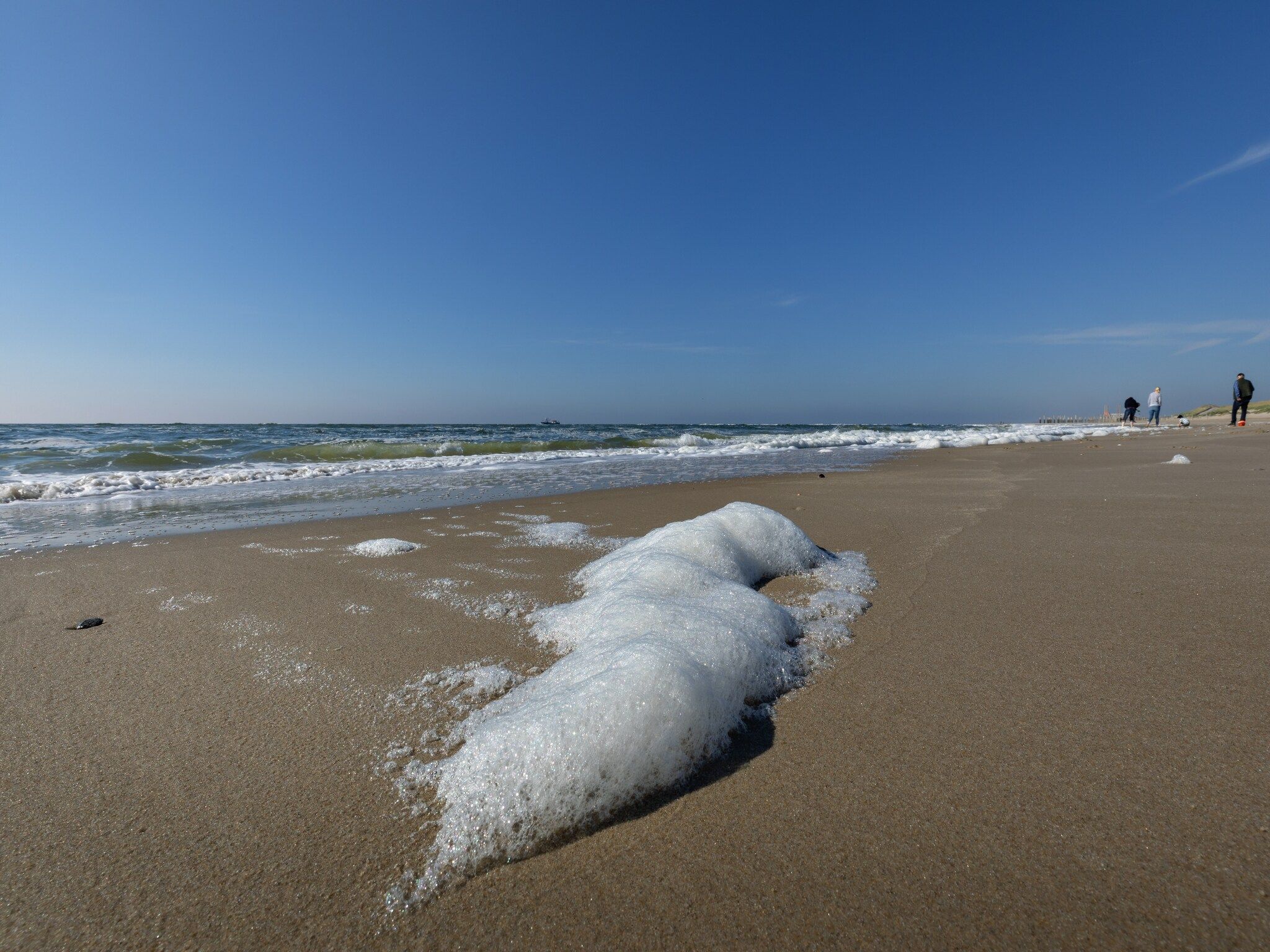 De omgeving van Bungalowpark Campanula 7 in St. Maartenszee