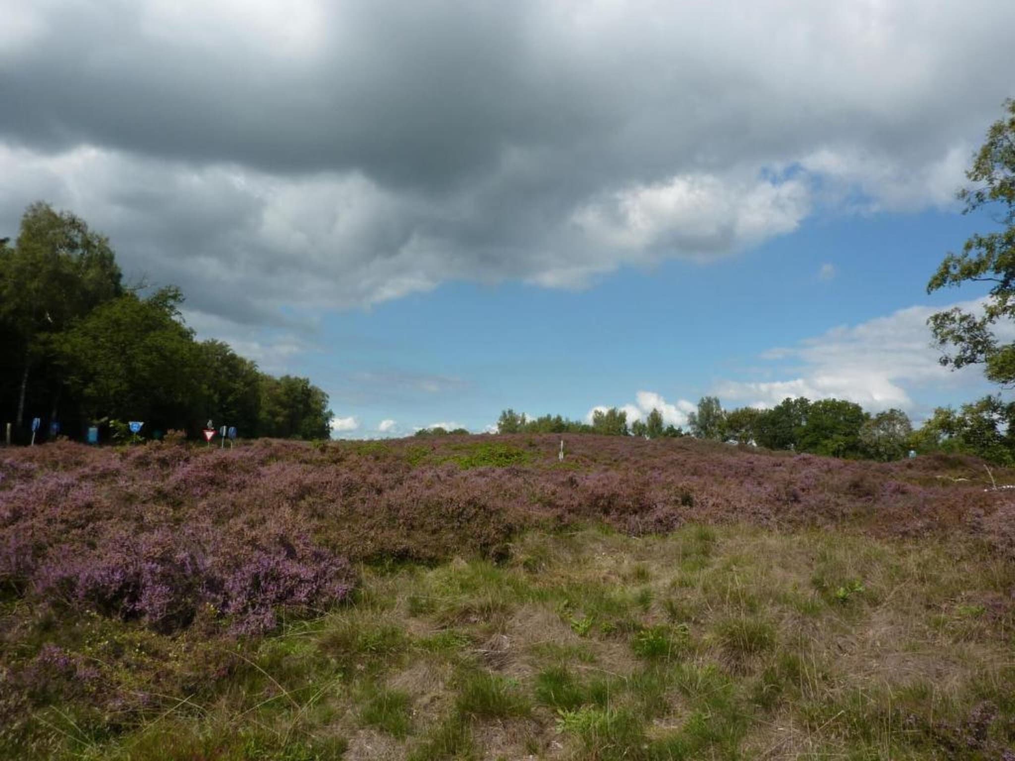 Glamping Resort Lauwersmeer 2 in Vierhuizen - Foto 31 van 39
