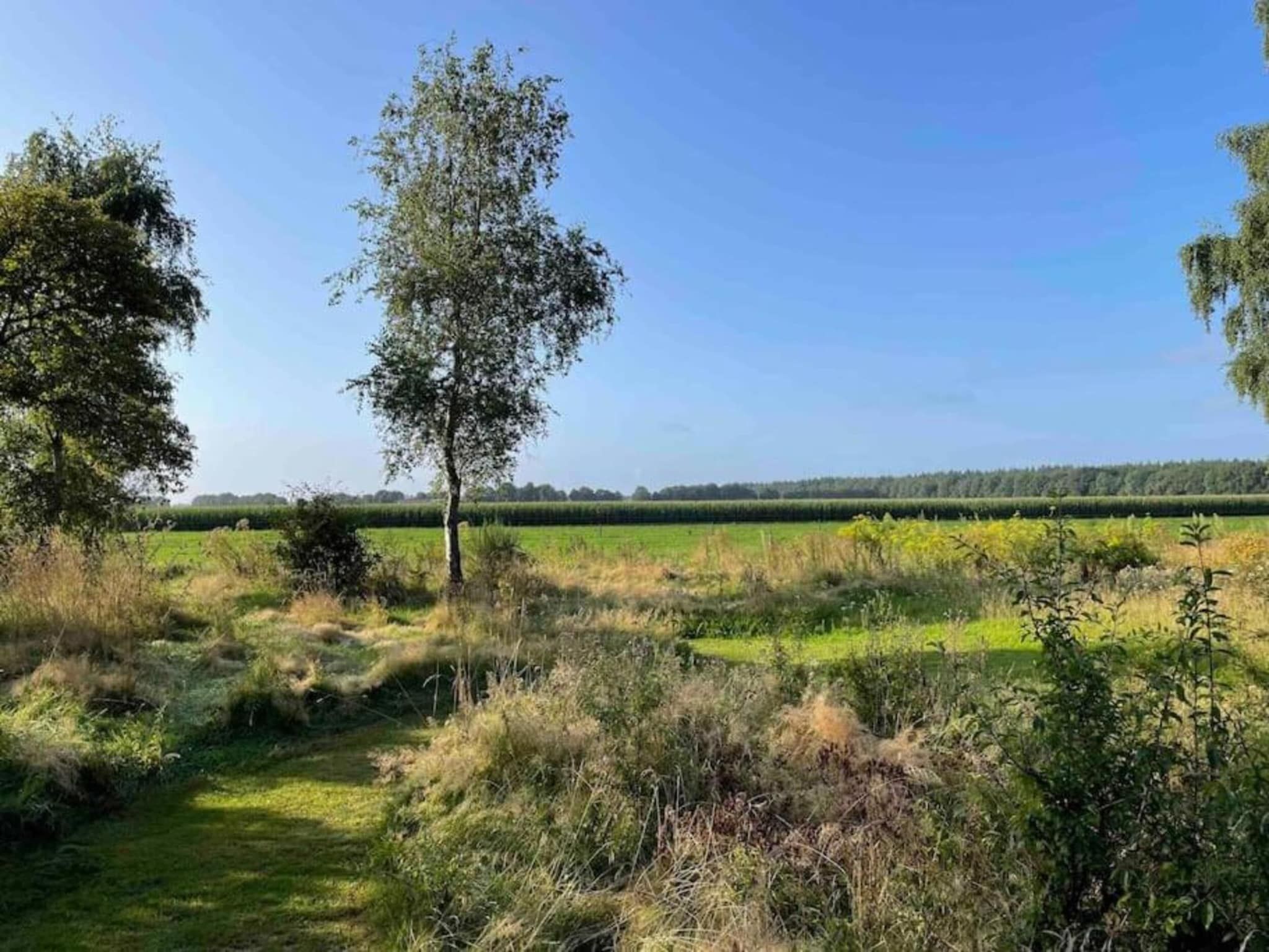 Glamping Resort Lauwersmeer 2 in Vierhuizen - Foto 34 van 39