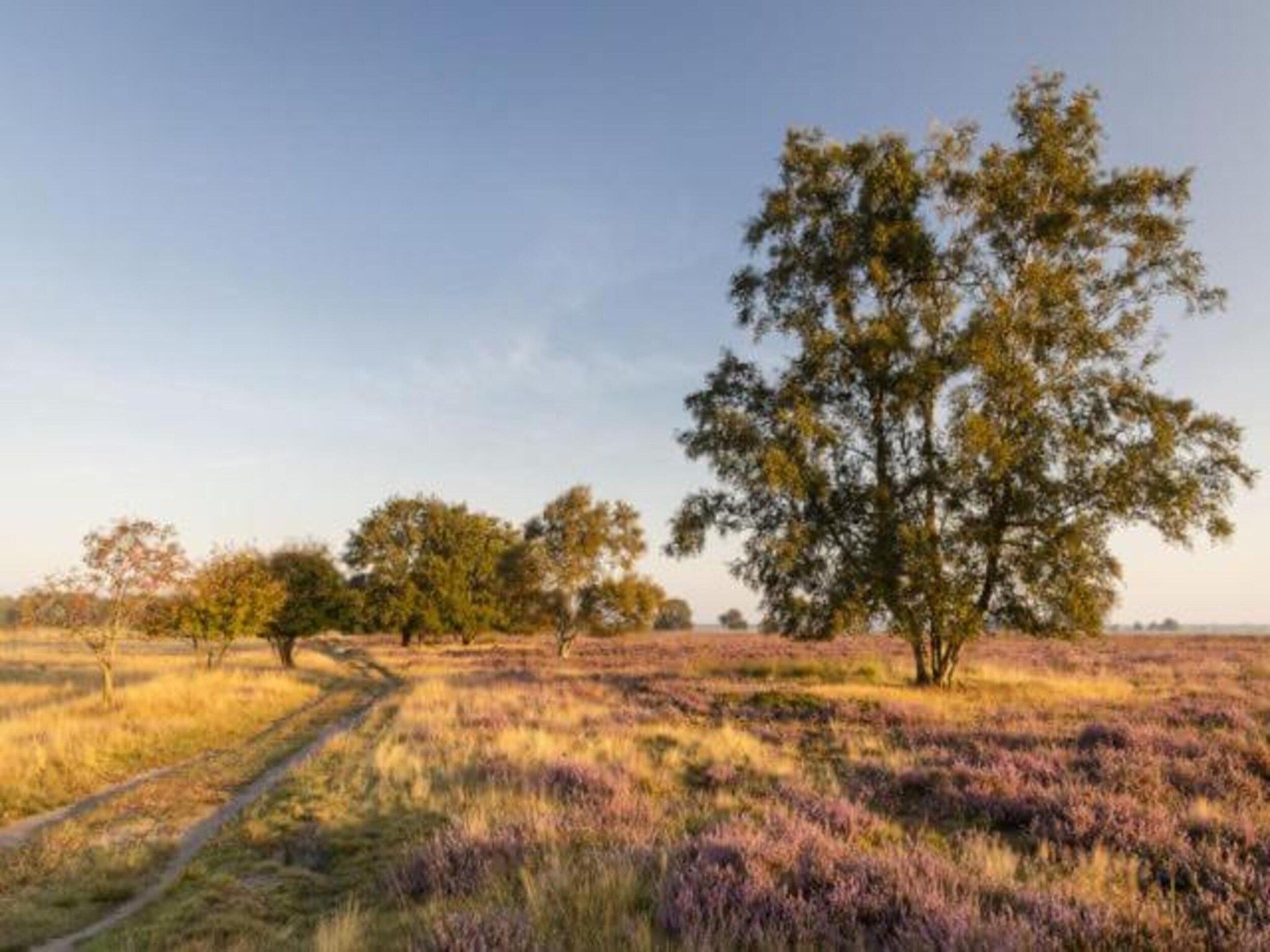 Glamping Resort Lauwersmeer 3 in Vierhuizen - Foto 38 van 40