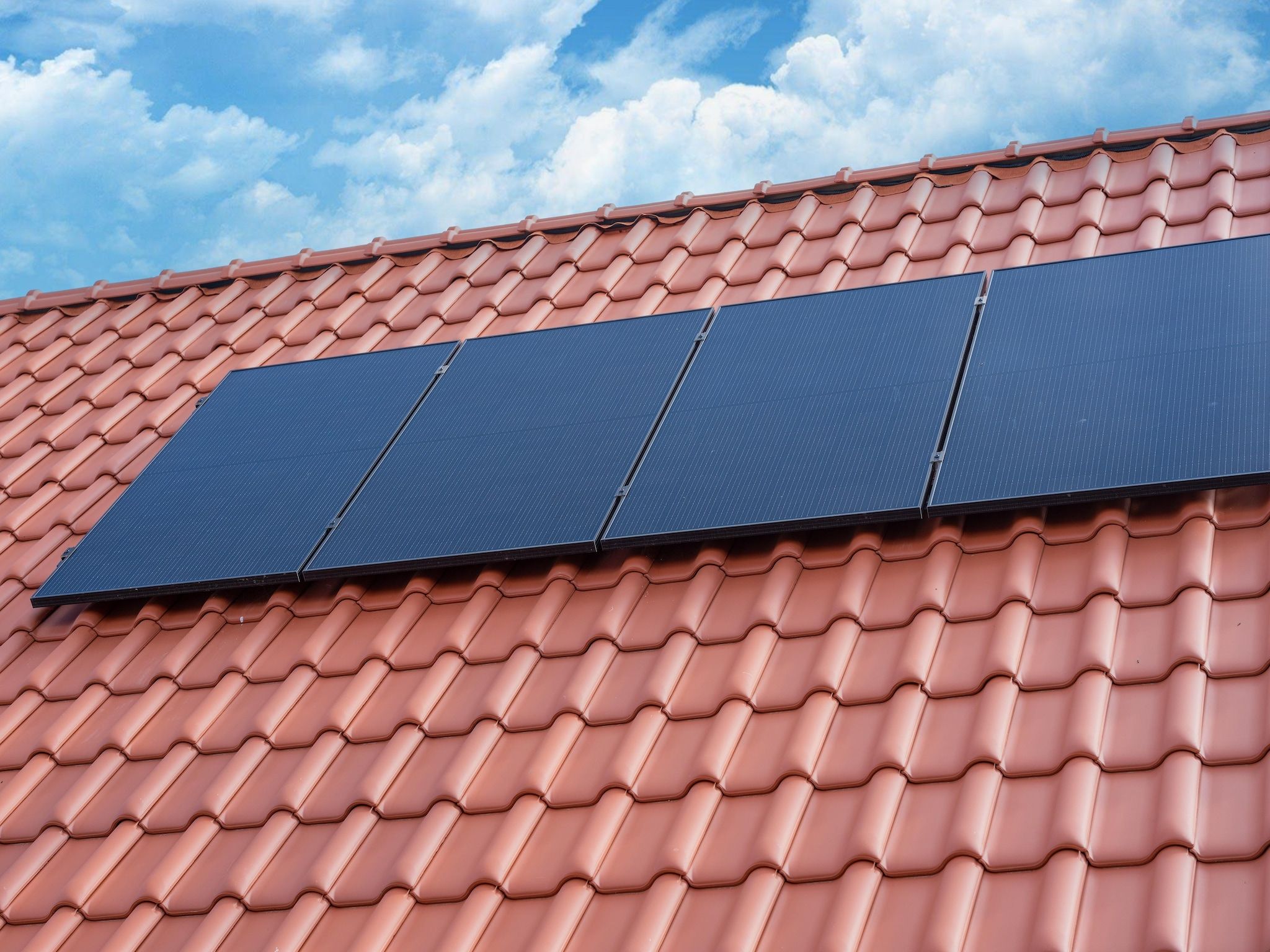 Sfeerbeeld van Schollevaer Huis Nr 34 in Scherpenisse