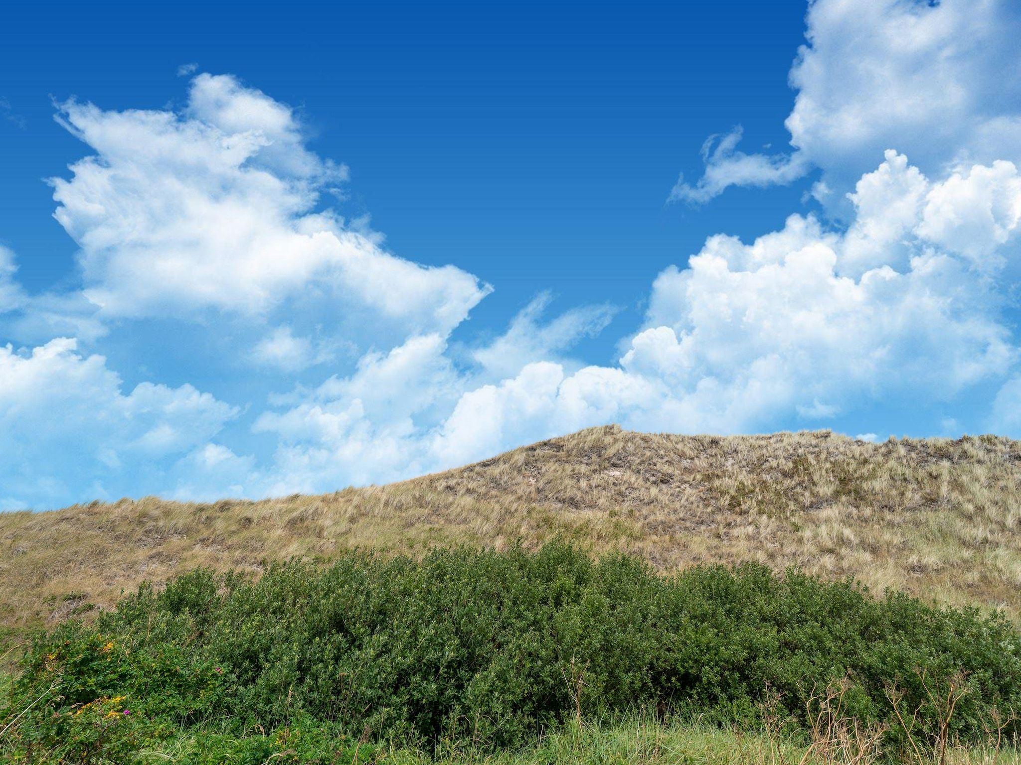 Hazenborgh - Wagenboet in Callantsoog - Foto 37 van 40