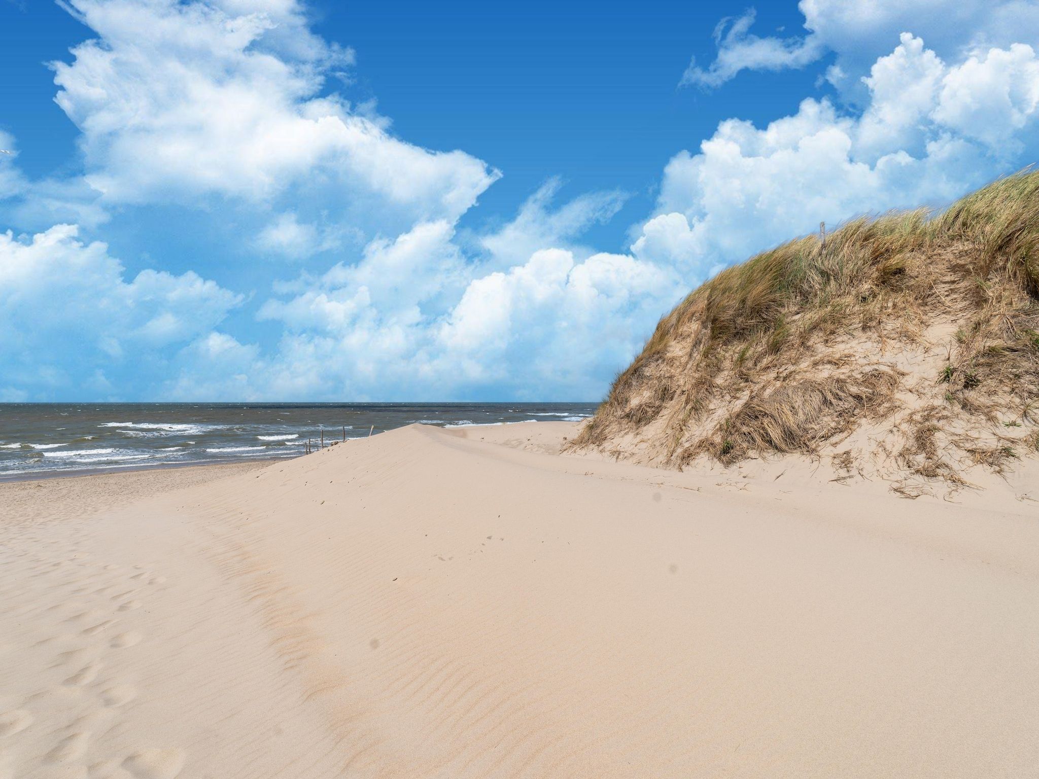 De omgeving van Hazenborgh - Wagenboet in Callantsoog