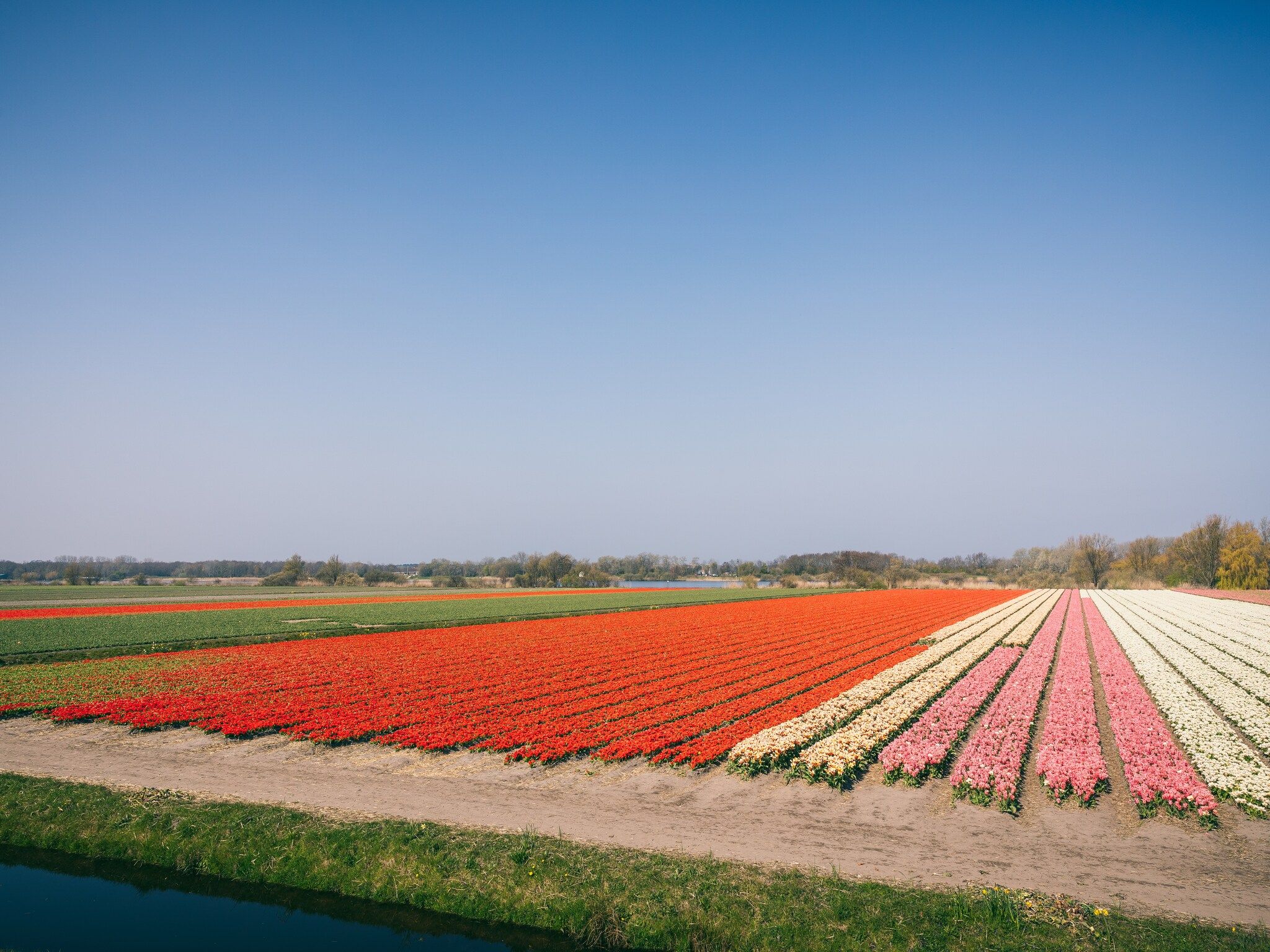 Duinresort Dunimar 3 in Noordwijkerhout - Foto 24 van 40