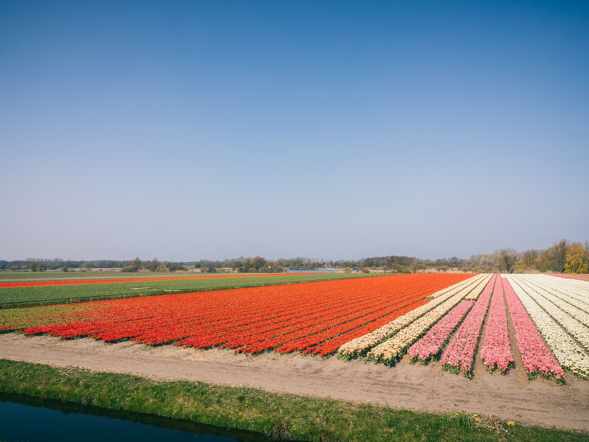 Duinresort Dunimar 4 in Noordwijkerhout - Foto 31 van 40