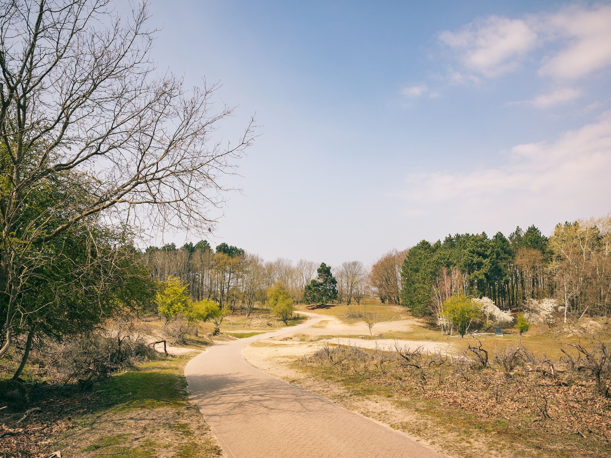 De omgeving van Duinresort Dunimar 5 in Noordwijkerhout