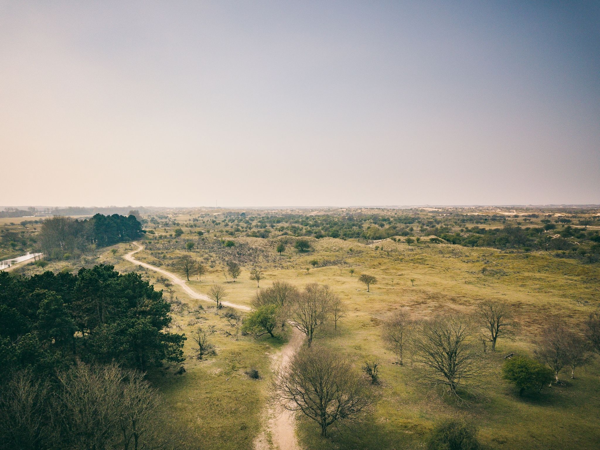 De omgeving van Duinresort Dunimar 5 in Noordwijkerhout