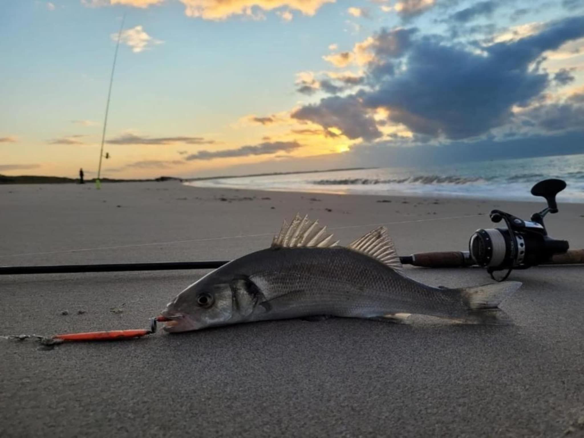 Roompot Beach Resort 25 in Kamperland - Foto 38 van 40