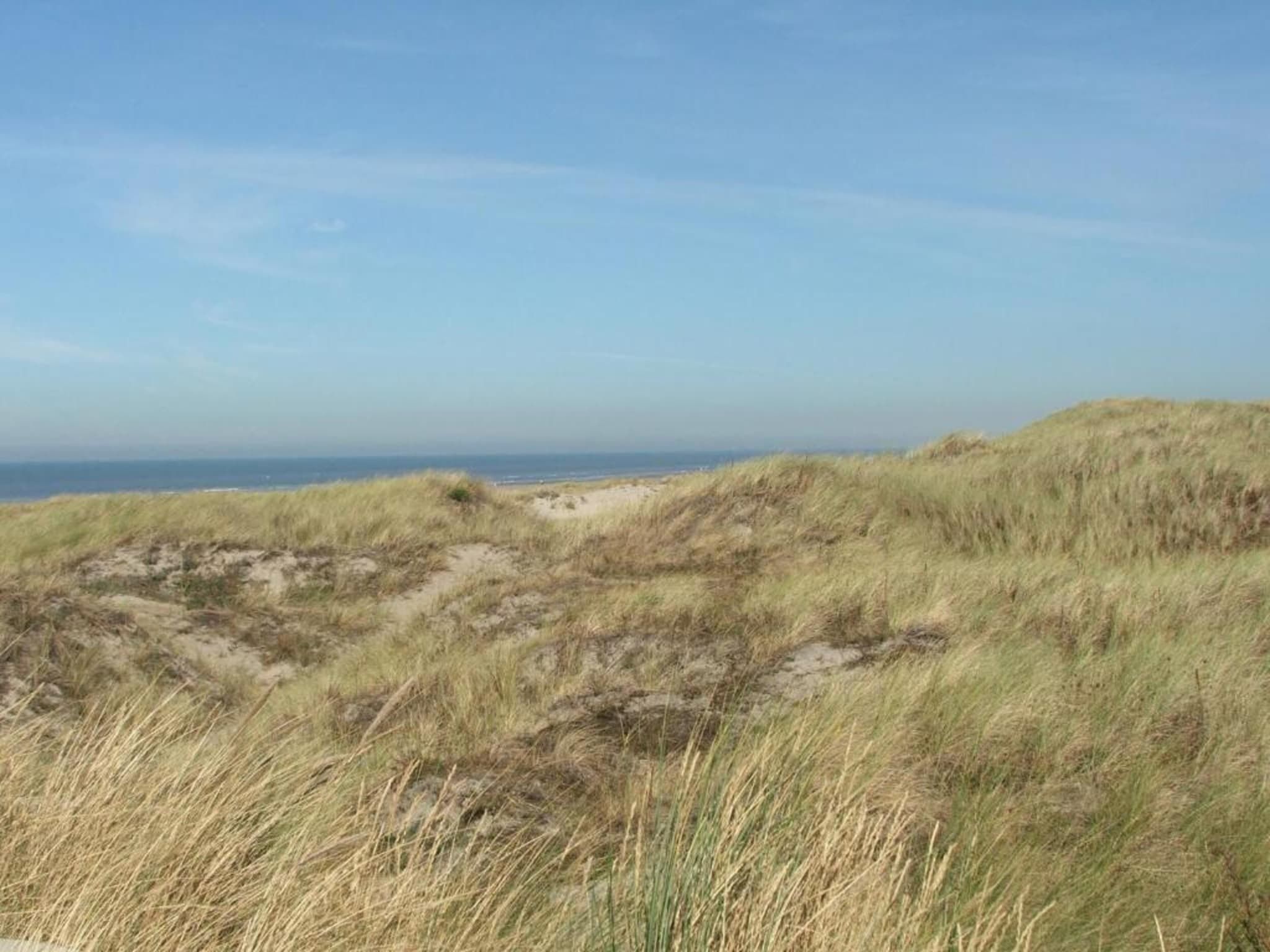 Resort Beach Houses Wijk aan Zee 3 in Wijk aan Zee - Foto 31 van 40