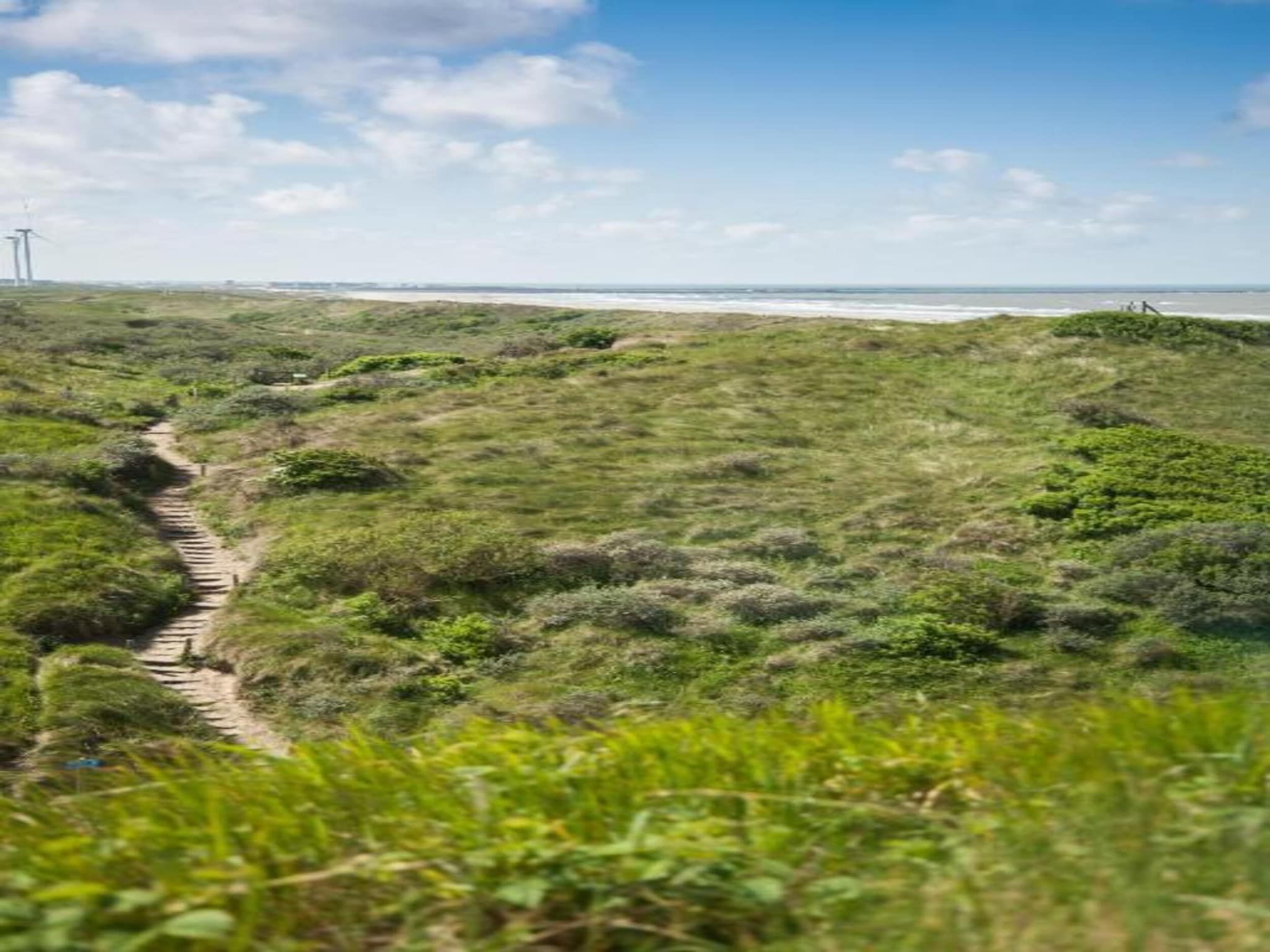 Resort Beach Houses Wijk aan Zee 5 in Wijk aan Zee - Foto 22 van 40