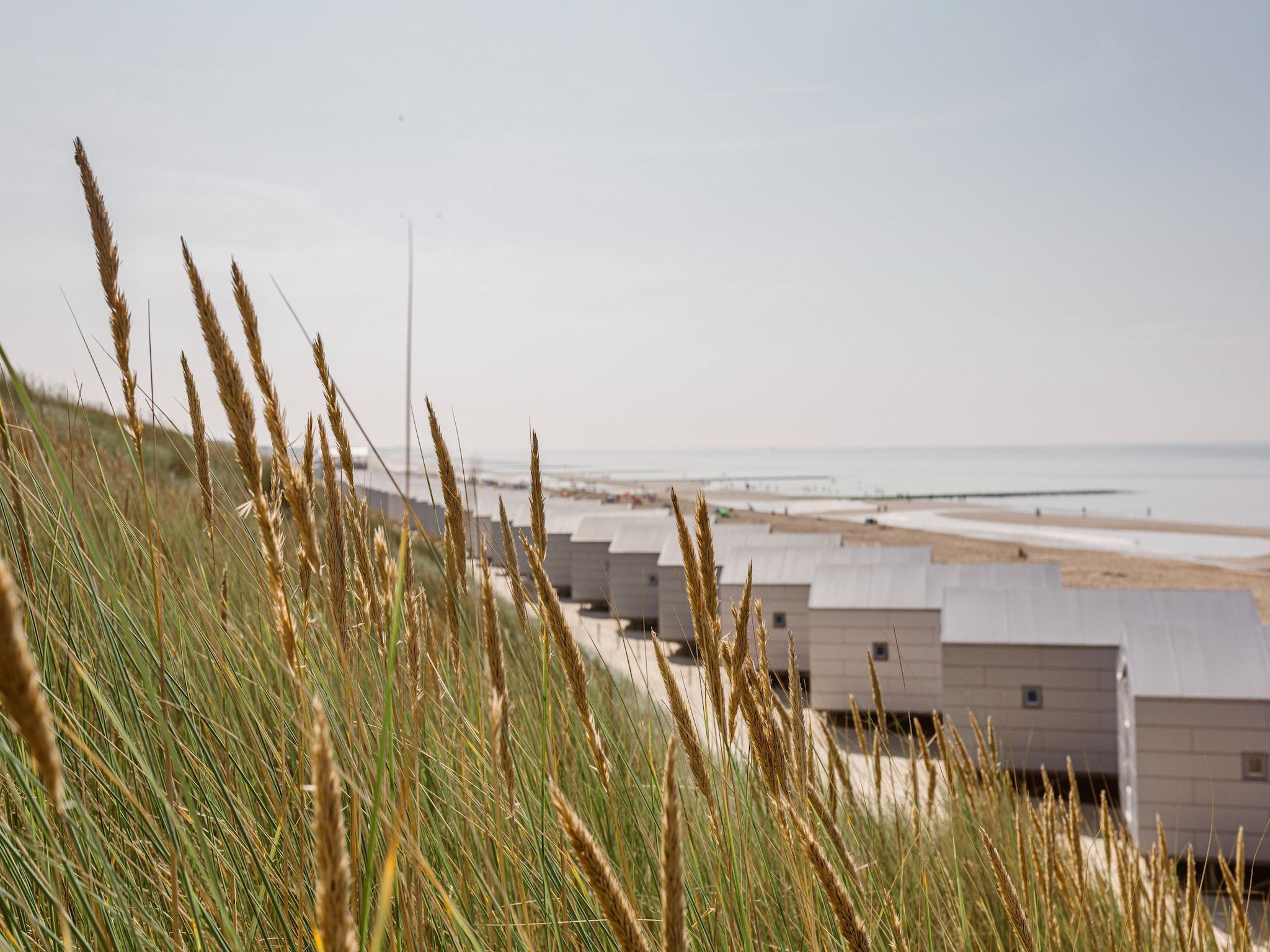 Resort Beach Houses Julianadorp 1 in Julianadorp - Foto 15 van 34