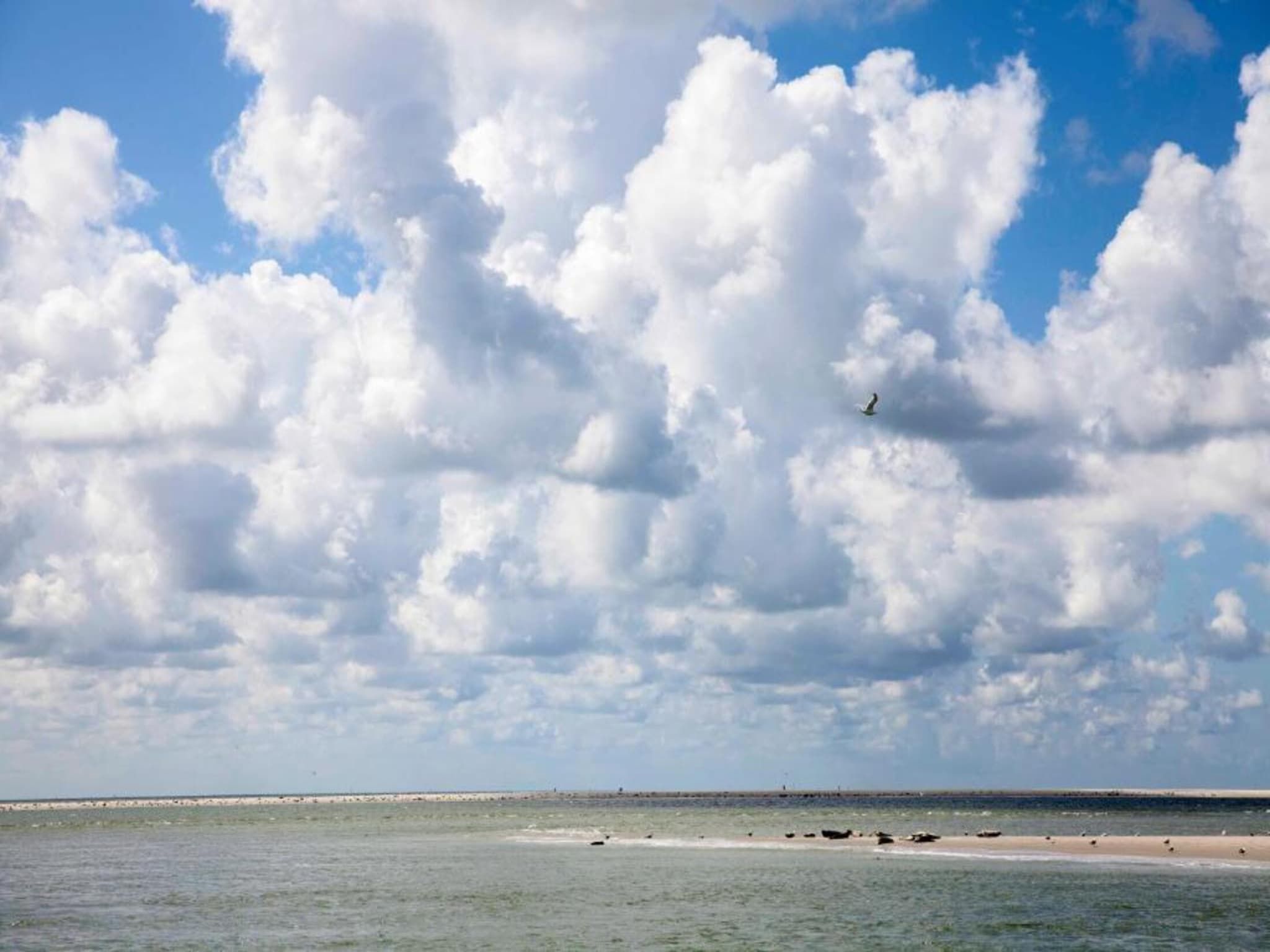 De omgeving van Resort Beach Houses Julianadorp 1 in Julianadorp