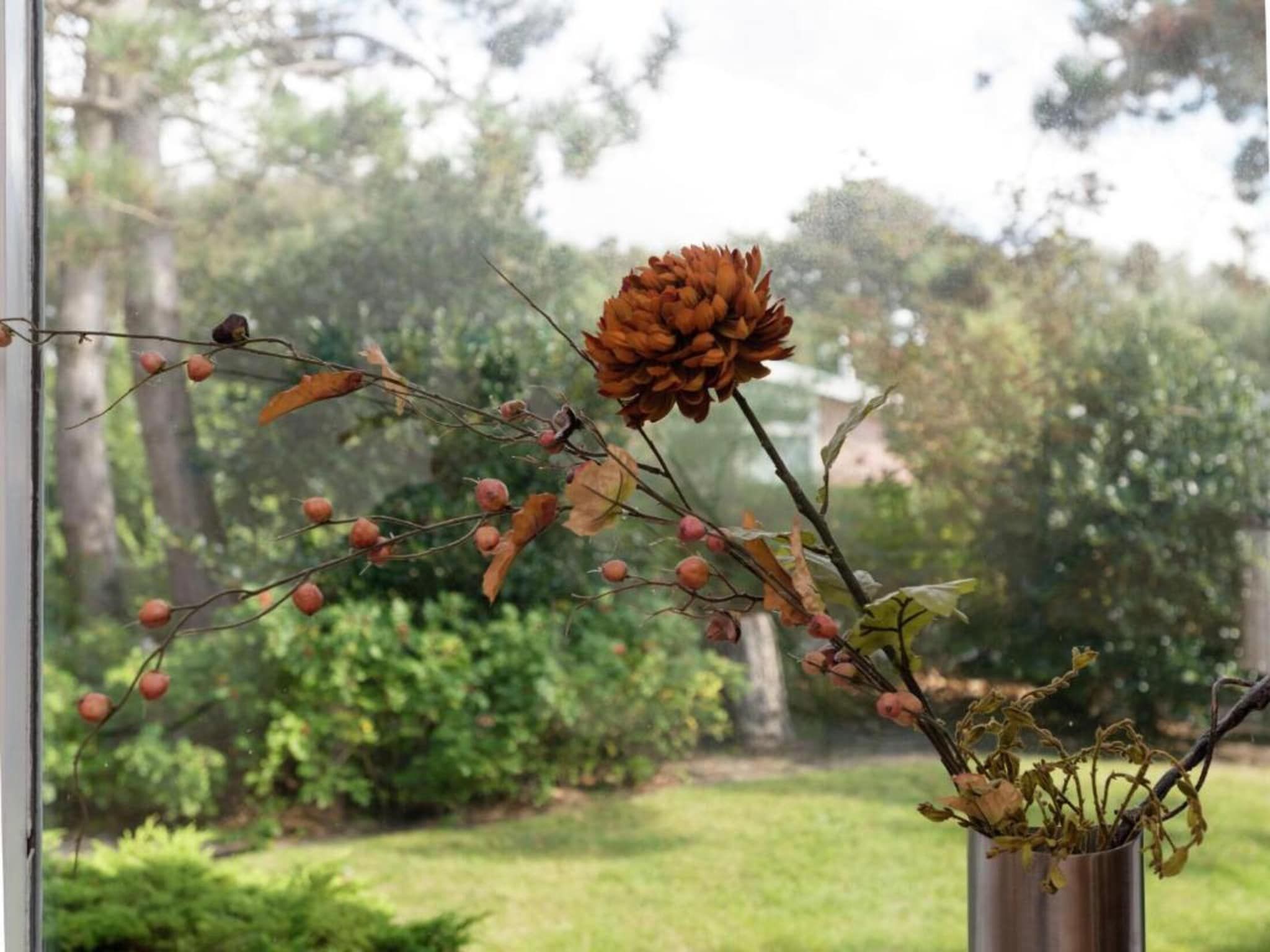 De omgeving van Resort Beach Houses Julianadorp 1 in Julianadorp