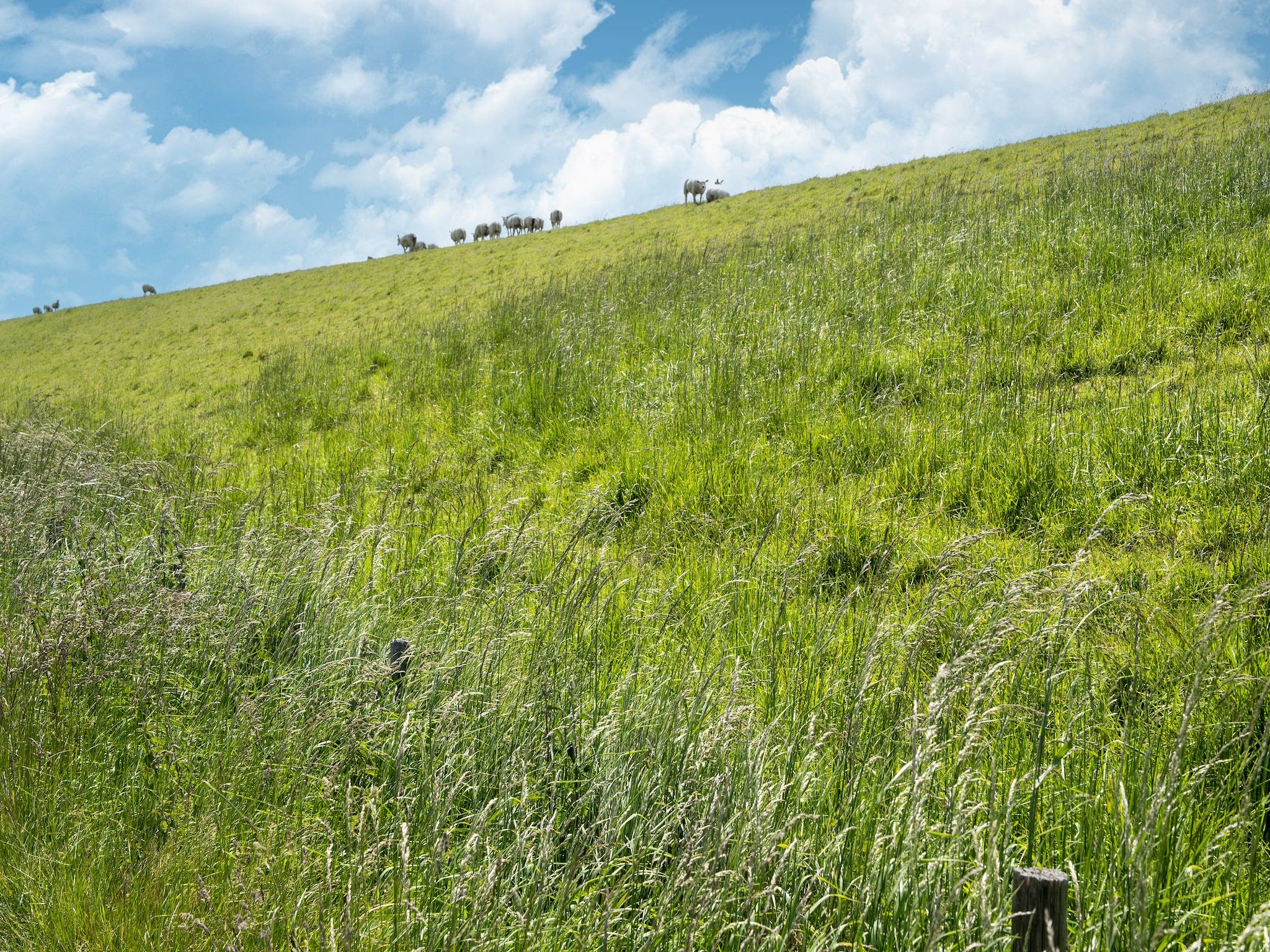 De omgeving van Landingsweg 80 in Baarland