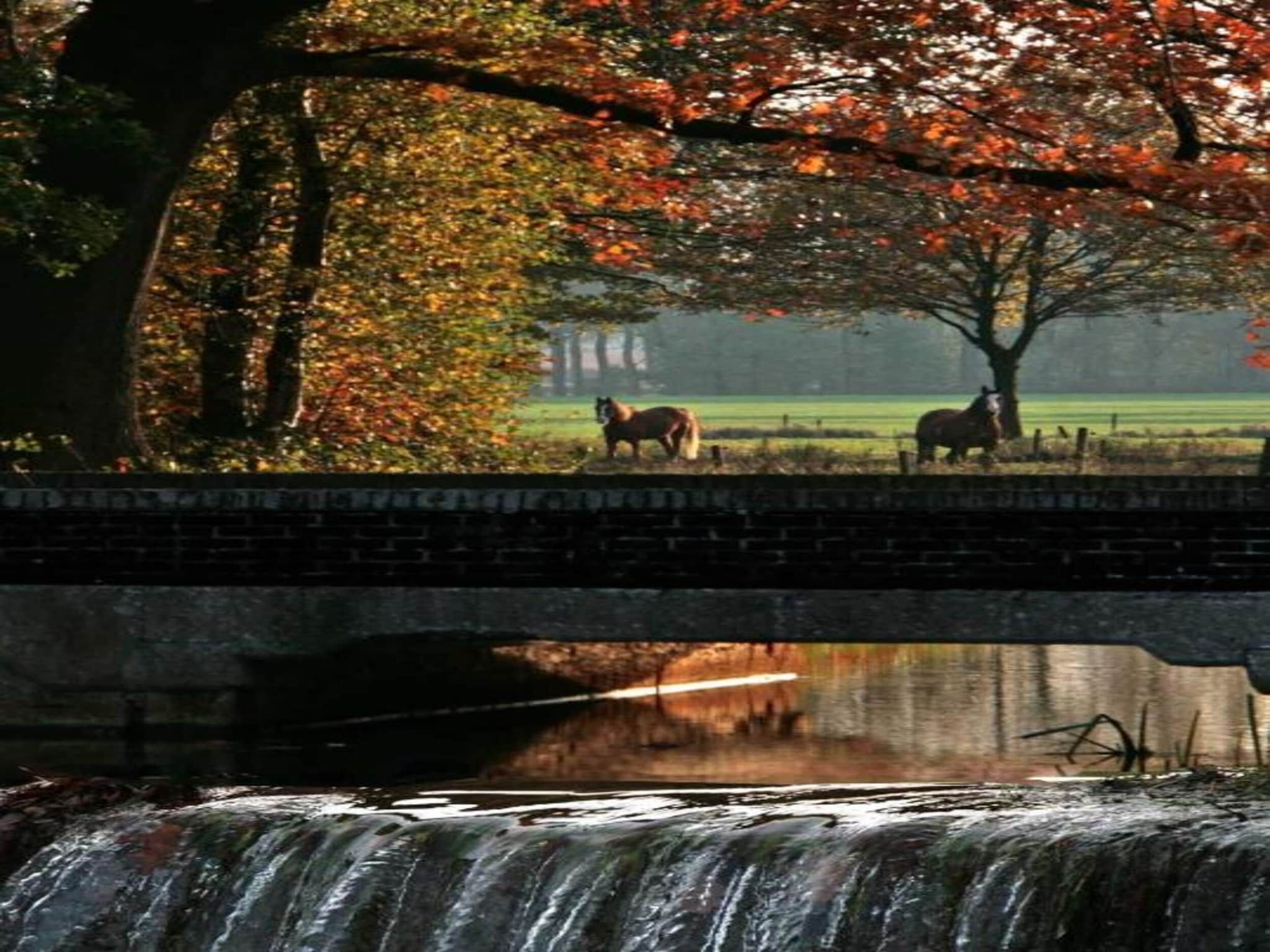 Vakantiepark Molenvelden 8 in Veldhoven - Foto 30 van 39