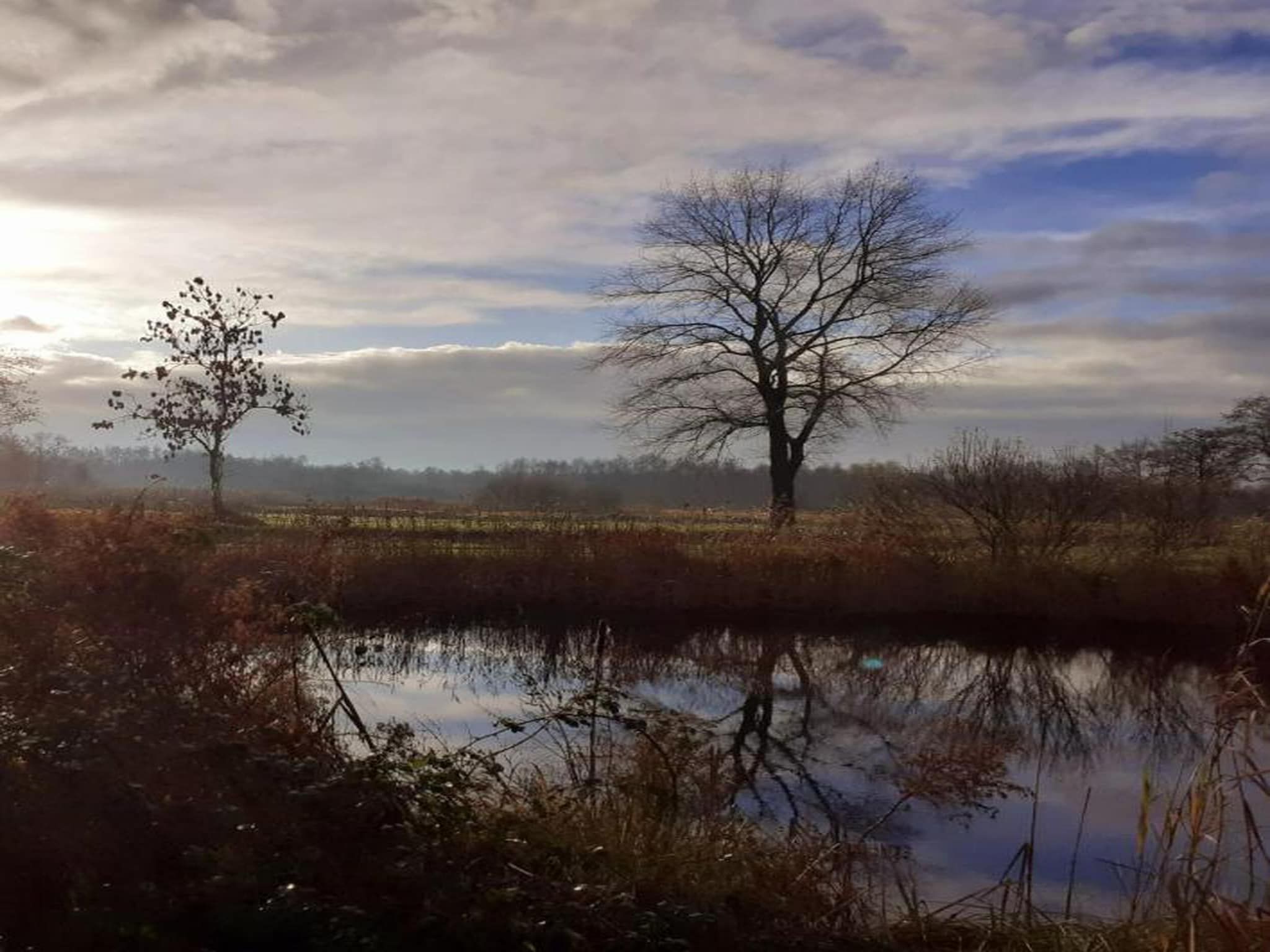 Waterstaete Ossenzijl 4 in Ossenzijl - Foto 20 van 37