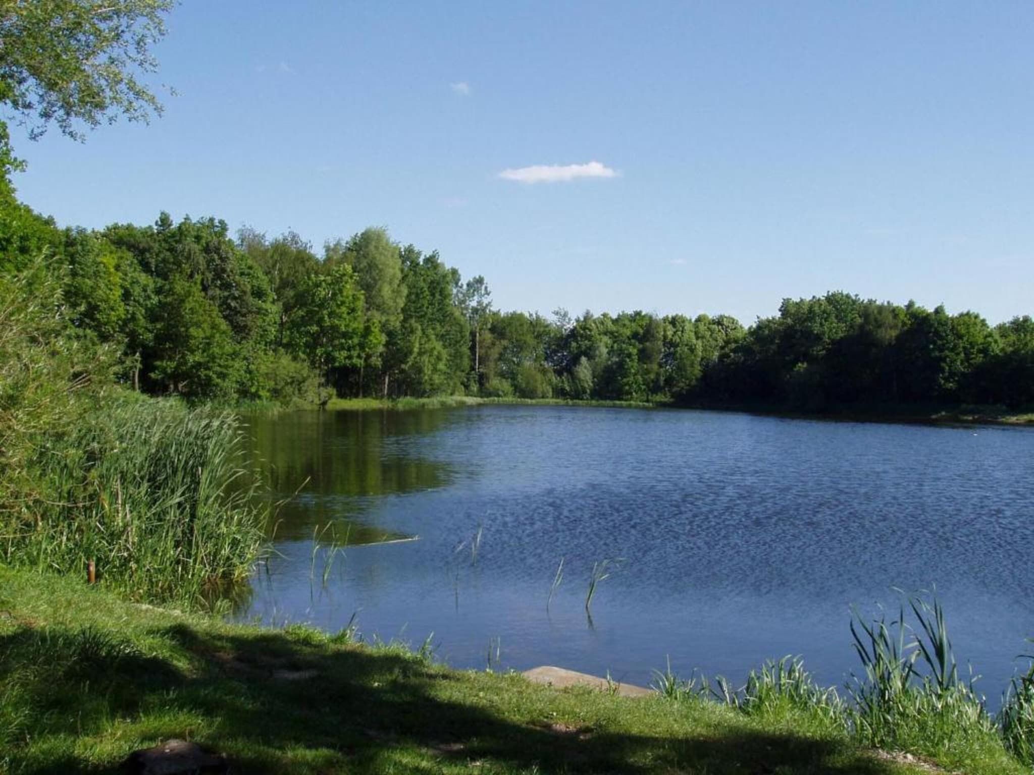 De omgeving van Vakantiepark Schaijk 10 in Schaijk