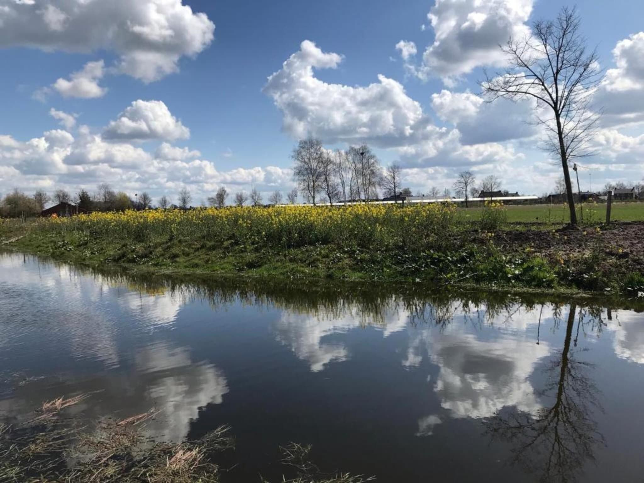 De omgeving van Vakantiepark Schaijk 12 in Schaijk