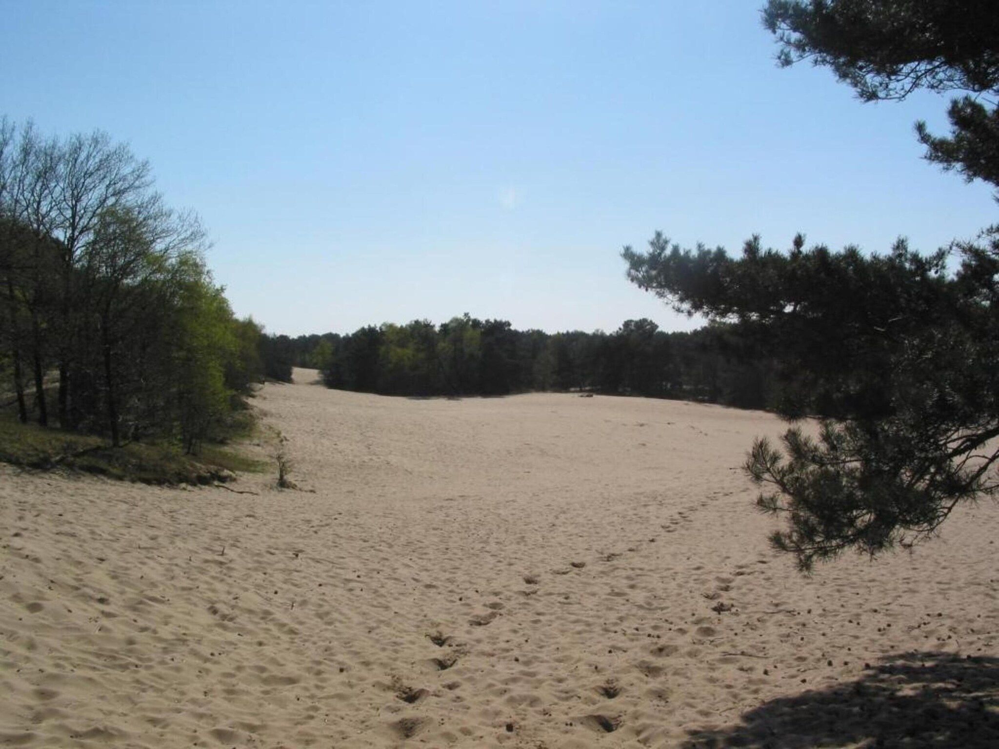 De omgeving van Vakantiepark Schaijk 12 in Schaijk