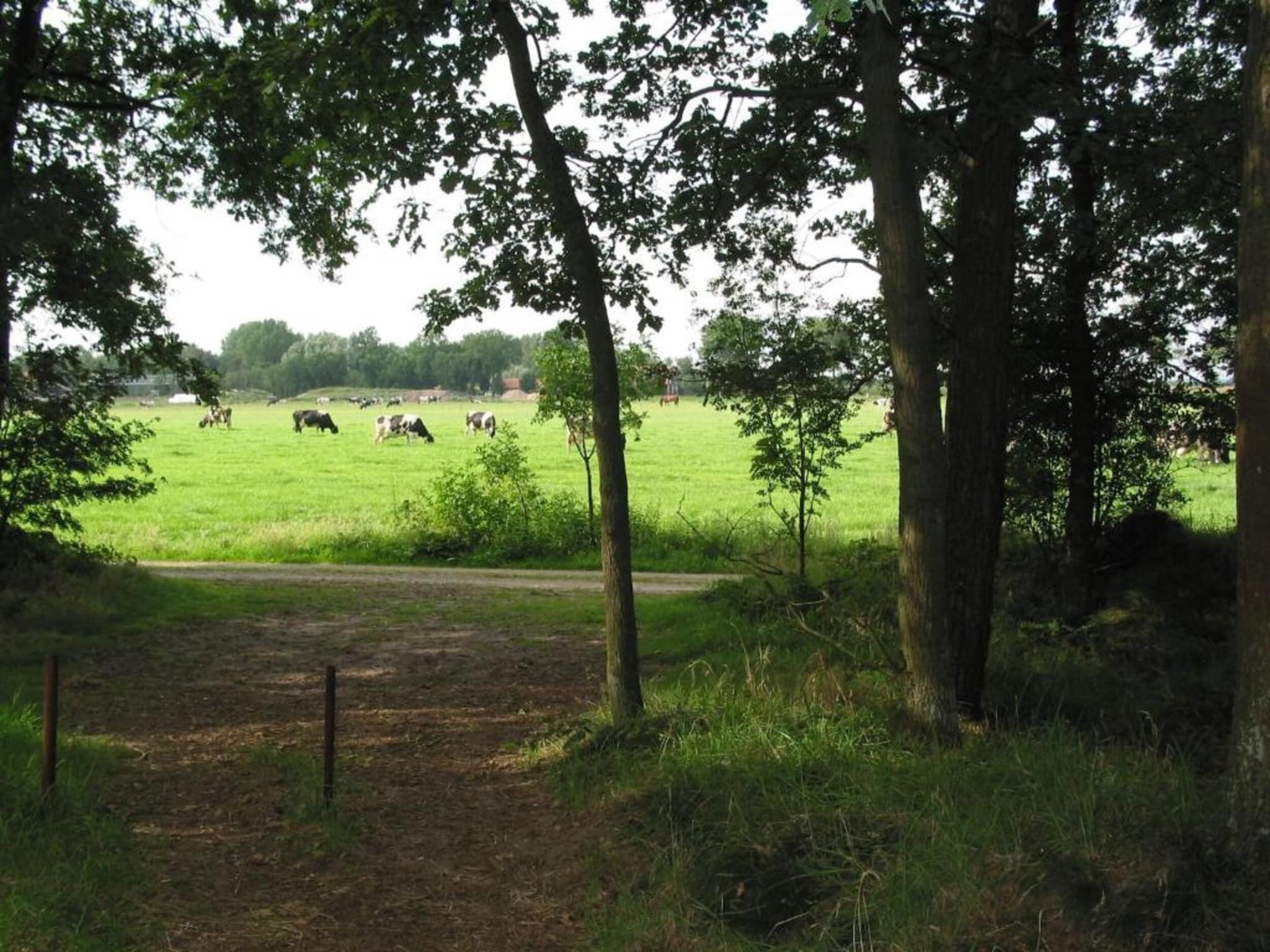 De omgeving van Vakantiepark Schaijk 12 in Schaijk