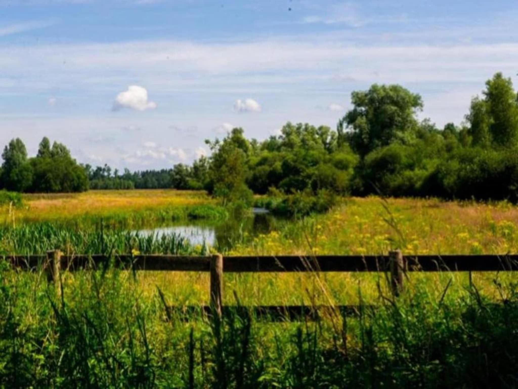 De omgeving van Vakantiepark Schaijk 12 in Schaijk
