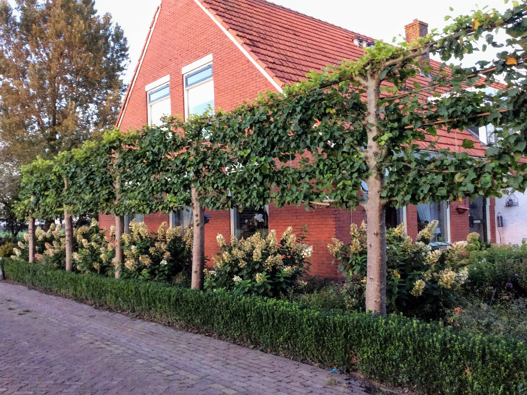 De Kerkereed in Donkerbroek - Foto 31 van 40