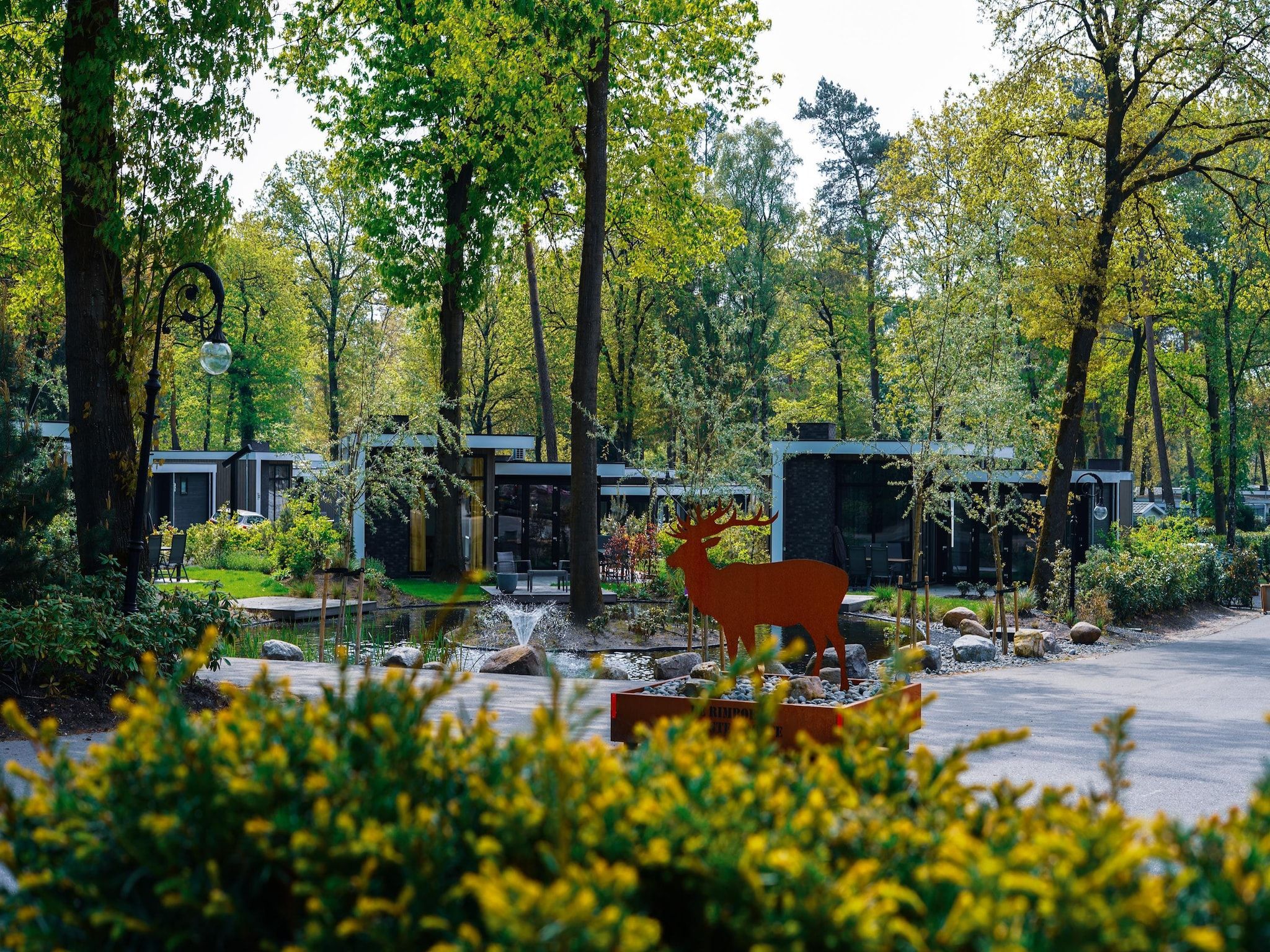 Parkfaciliteiten bij Vakantiepark De Rimboe & De Woeste Hoogte 41 in Hoenderloo