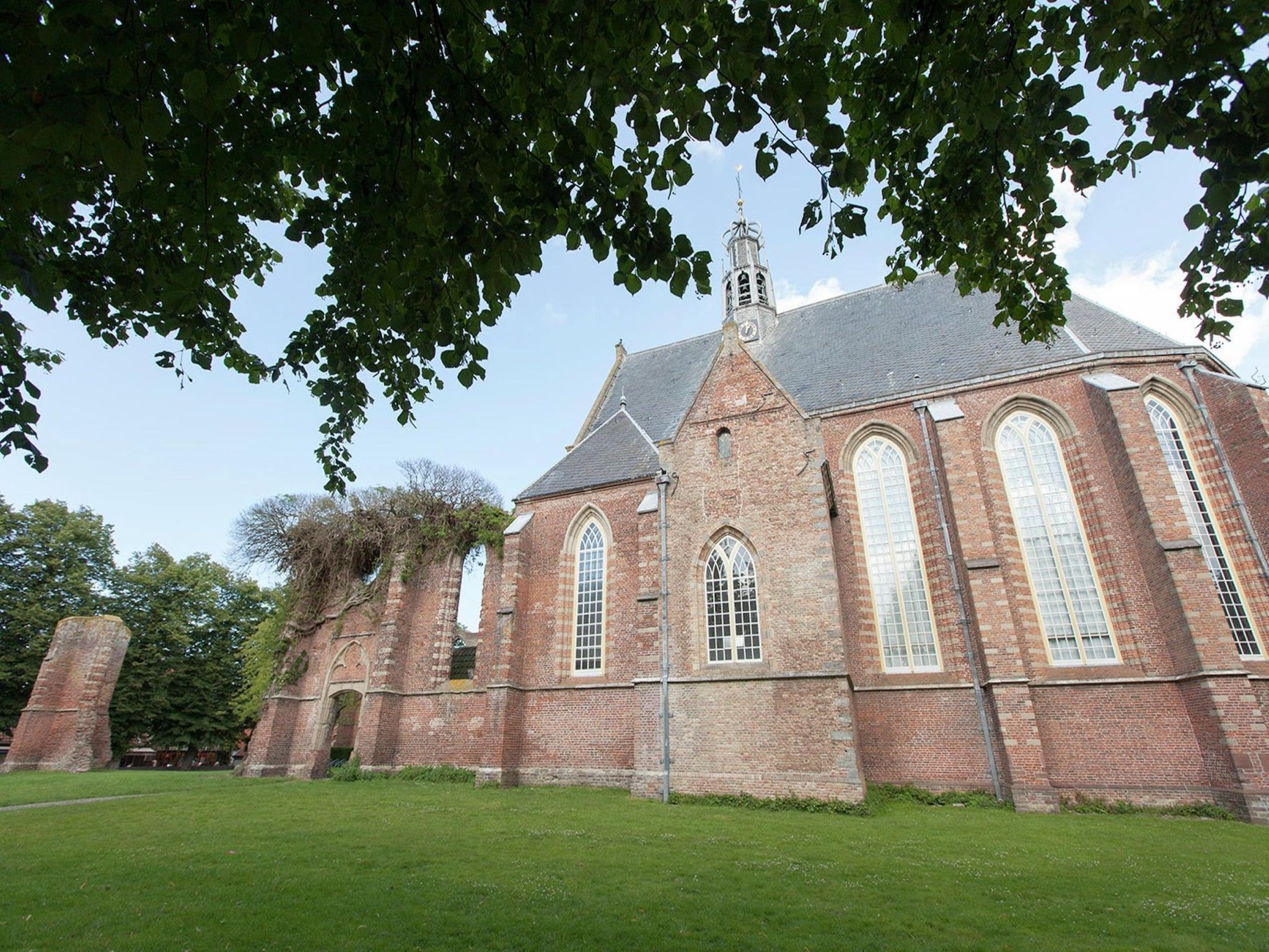 De omgeving van Vakantiehuis Fijn in Bergen