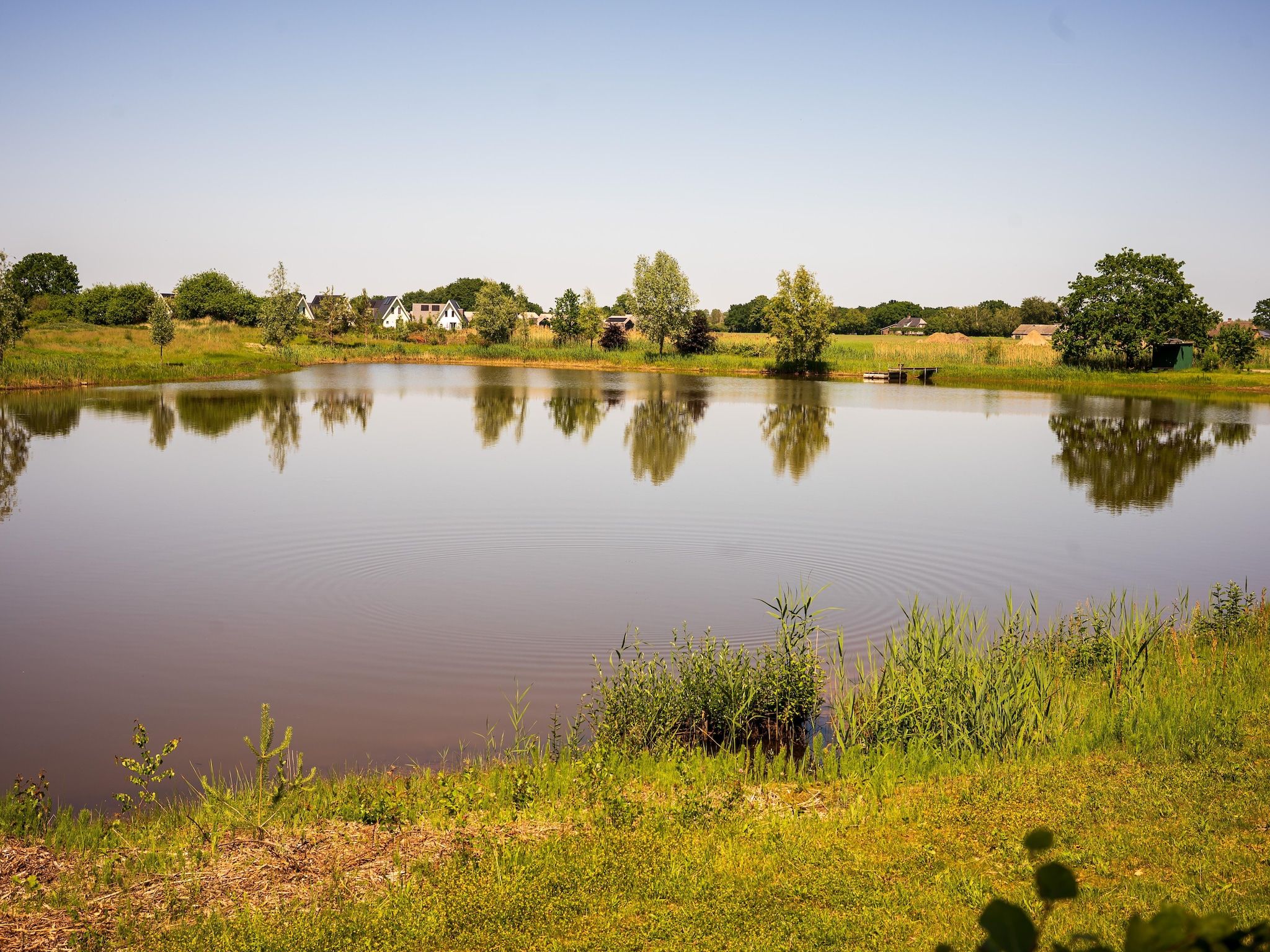 De omgeving van Vakantiehuisje 20 in Someren-Heide