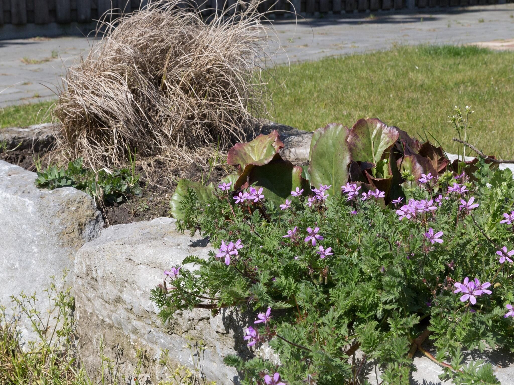 Kustwoning Baarland in Zeeland in Baarland - Foto 23 van 41