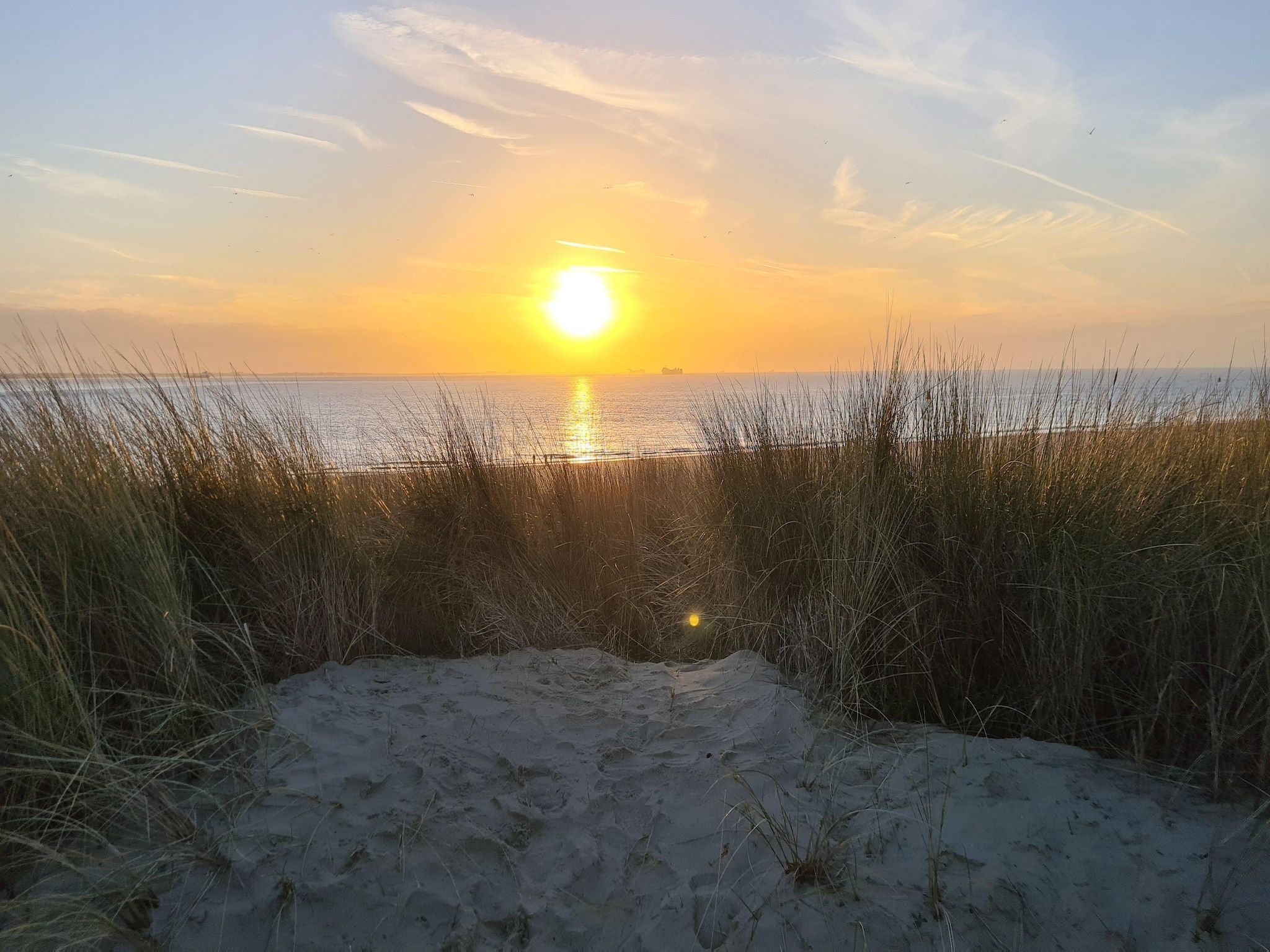 De omgeving van Kustwoning Baarland in Zeeland in Baarland