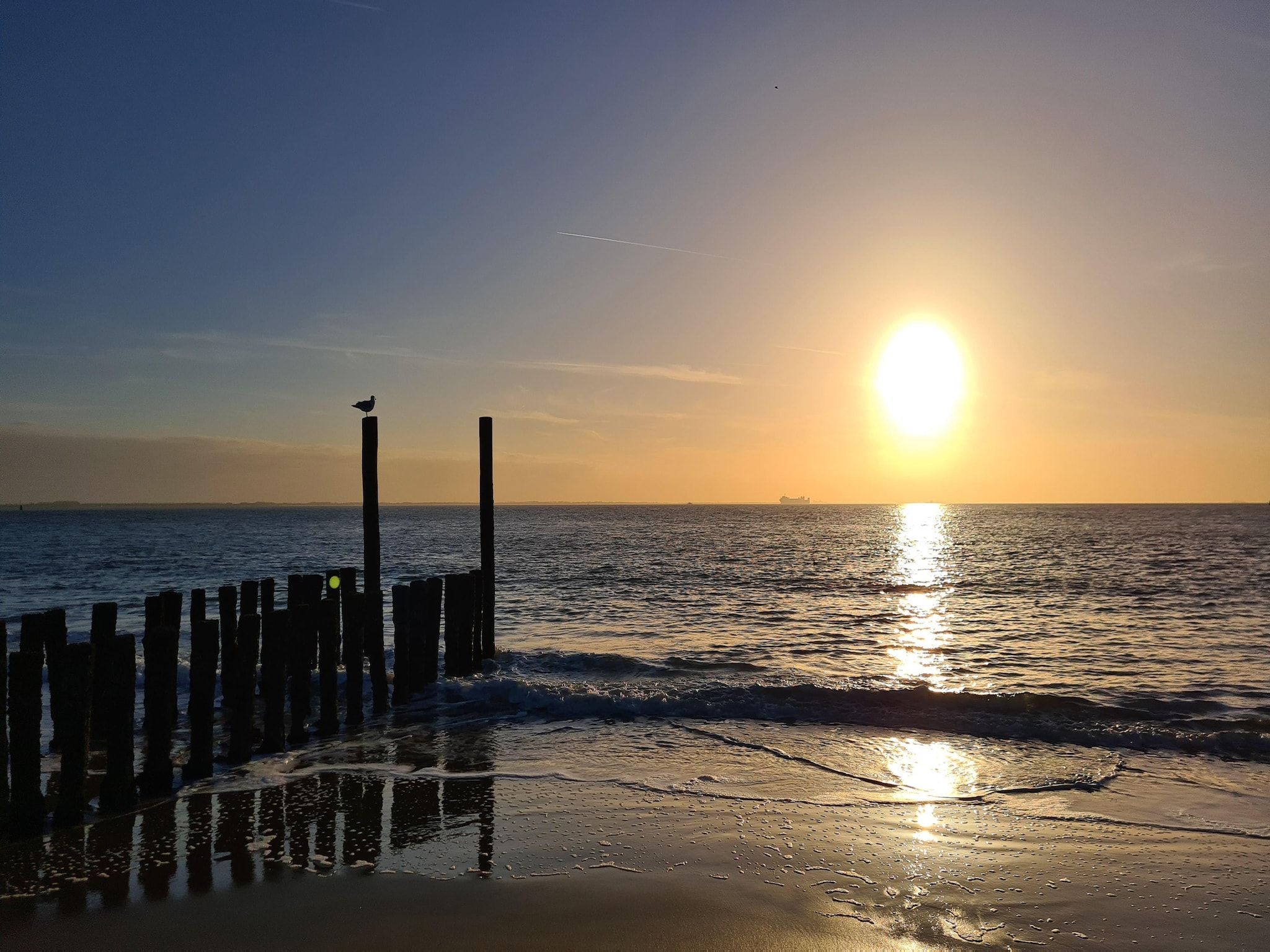De omgeving van Kustwoning Baarland in Zeeland in Baarland