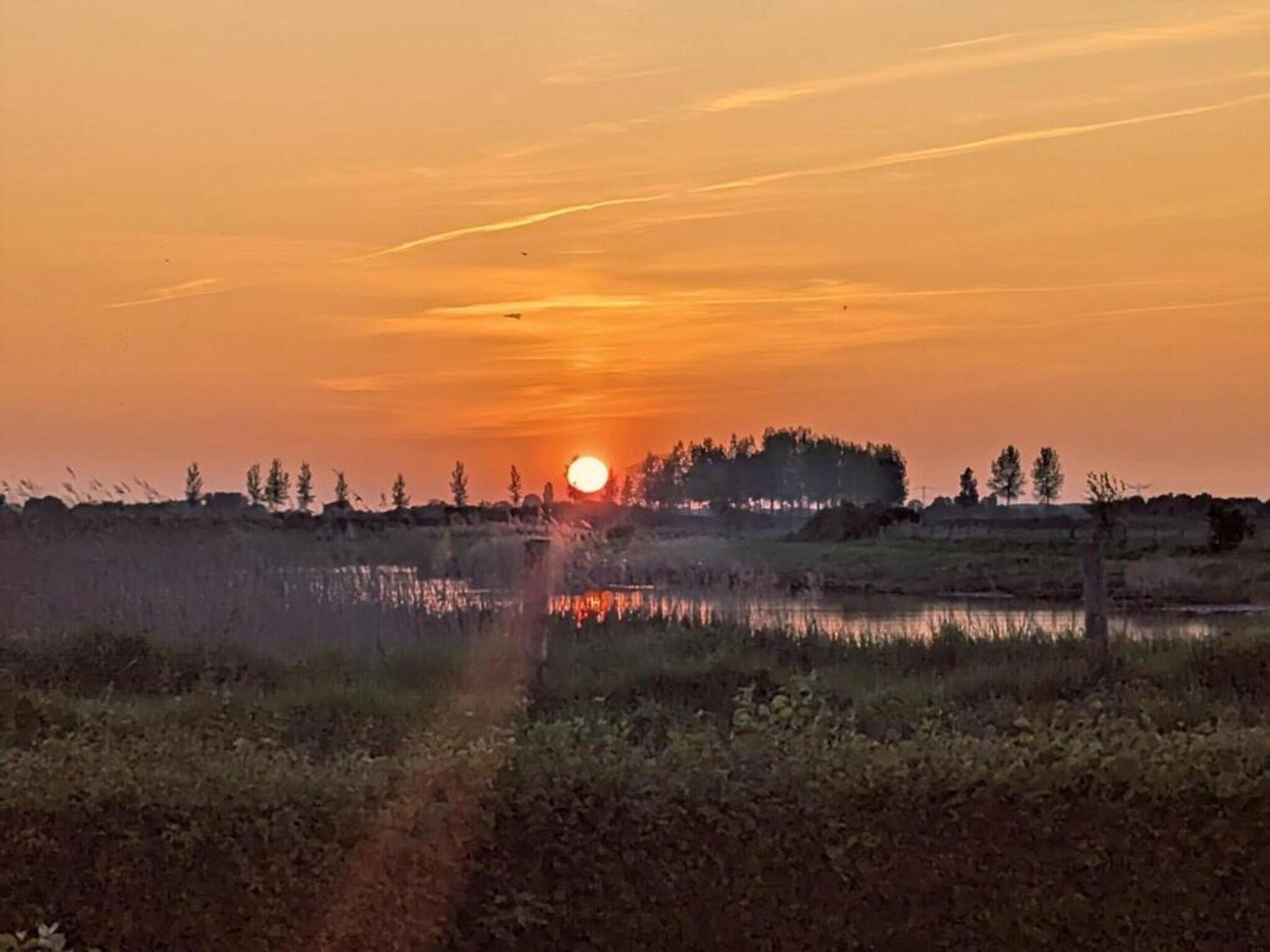 Kustwoning Baarland in Zeeland in Baarland - Foto 39 van 41